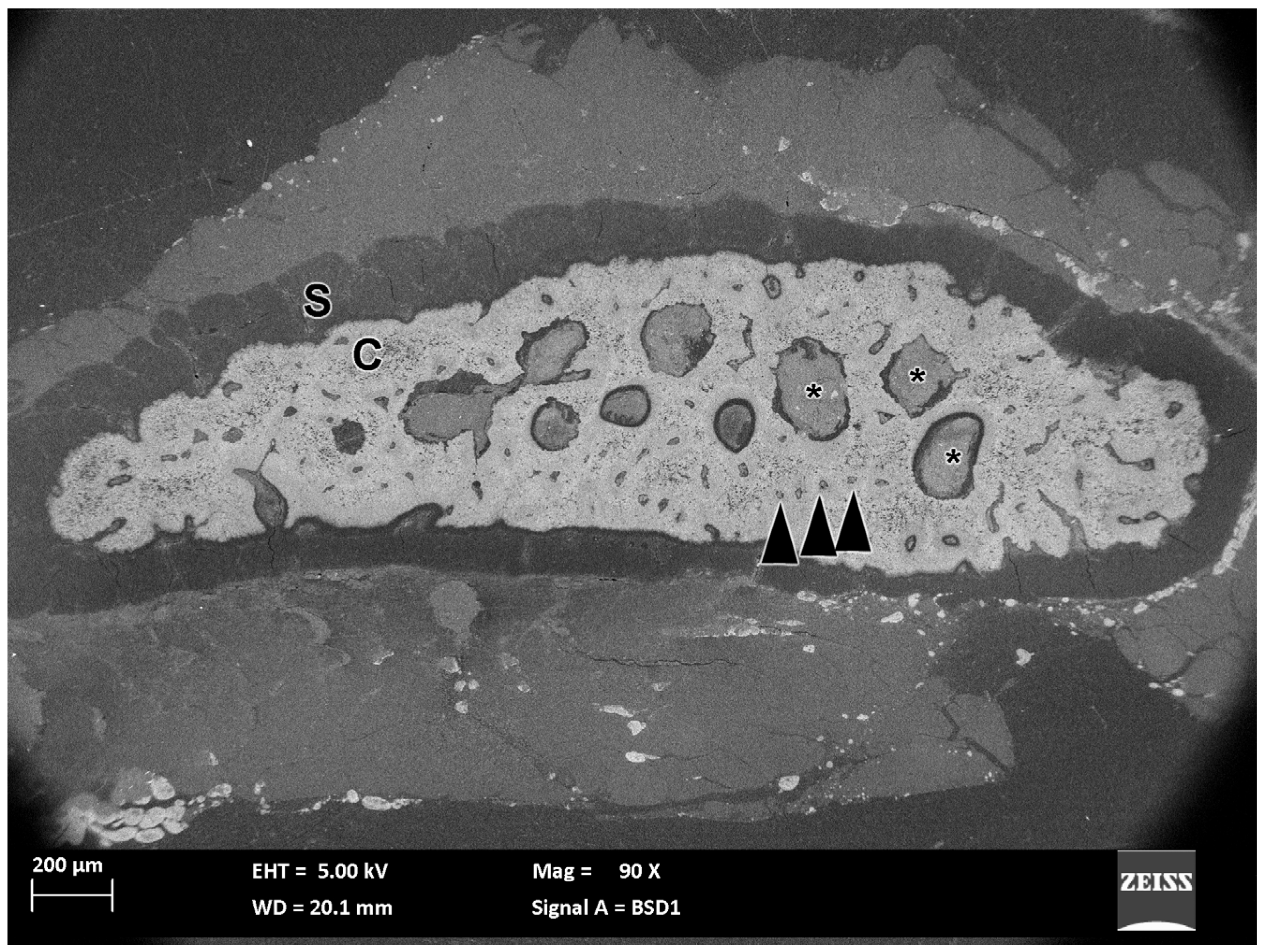 Applsci 16 06287 g006