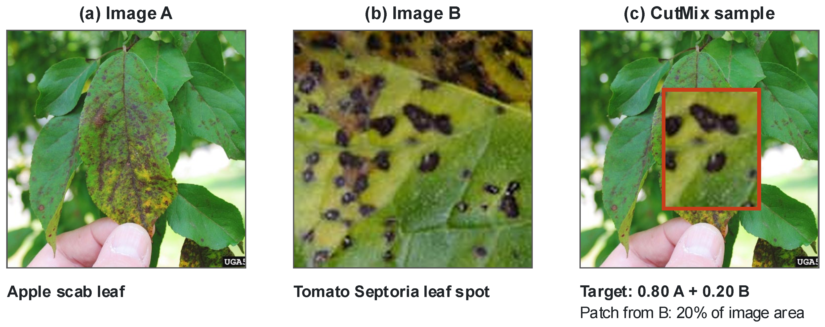 Applsci 16 06380 g004