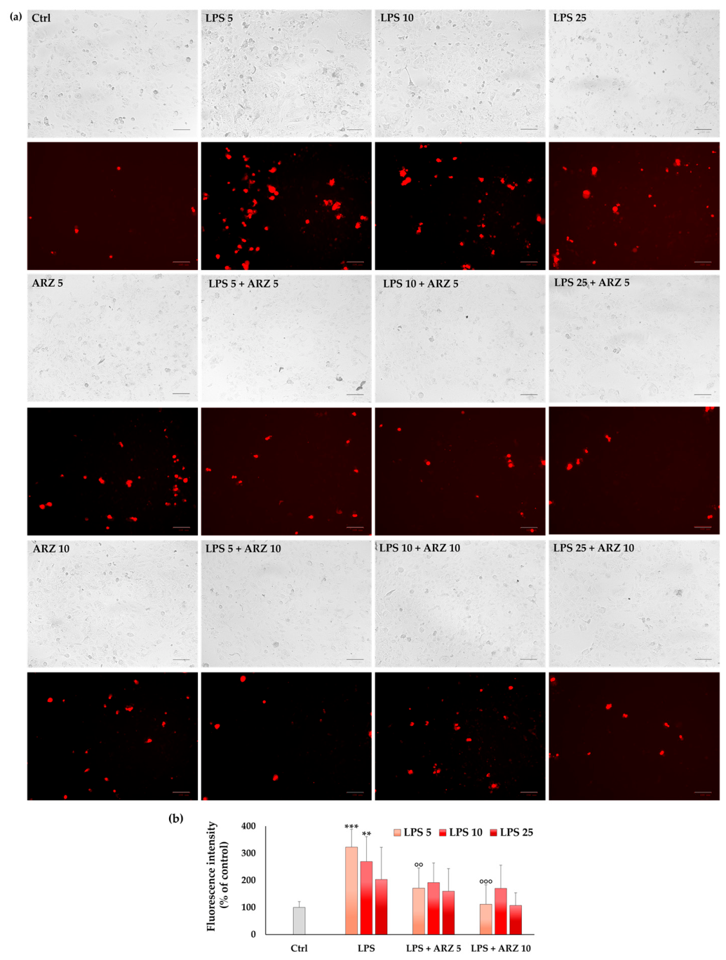 Applsci 16 06472 g005