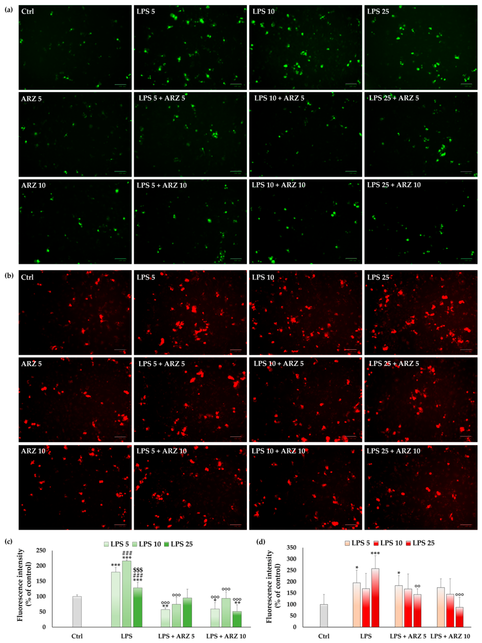 Applsci 16 06472 g006