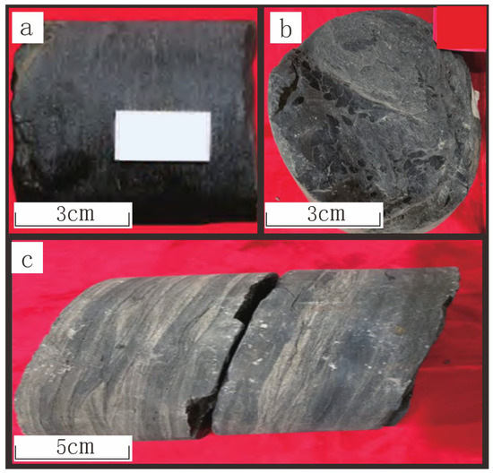 Sedimentary Microfacies Analysis and Reservoir Prediction of