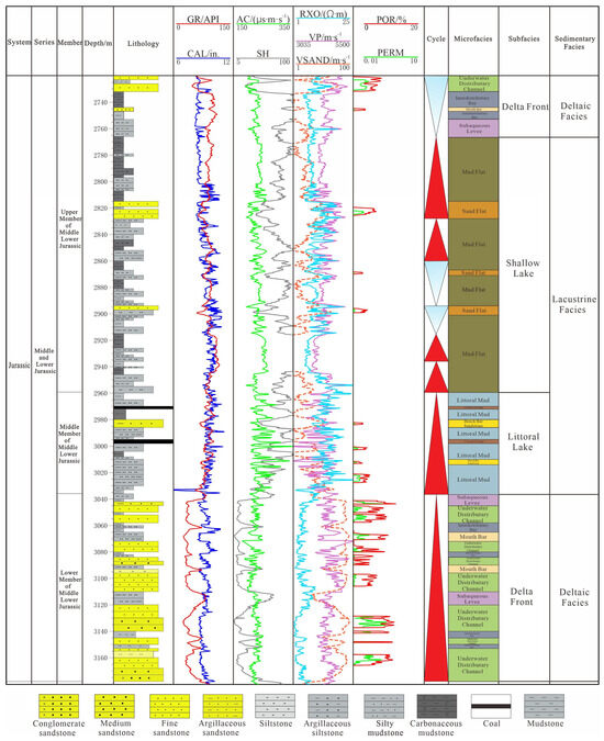 リソース シン Sedimentary Microfacies Analysis and Reservoir Prediction of