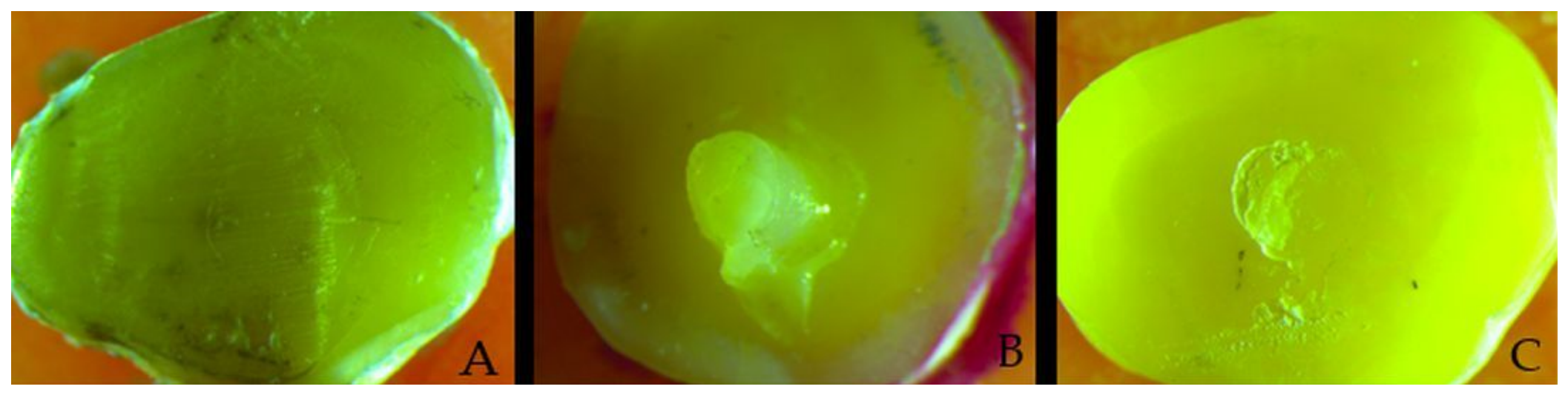Applsci 16 07097 g003 Applsci 16 07097 g003