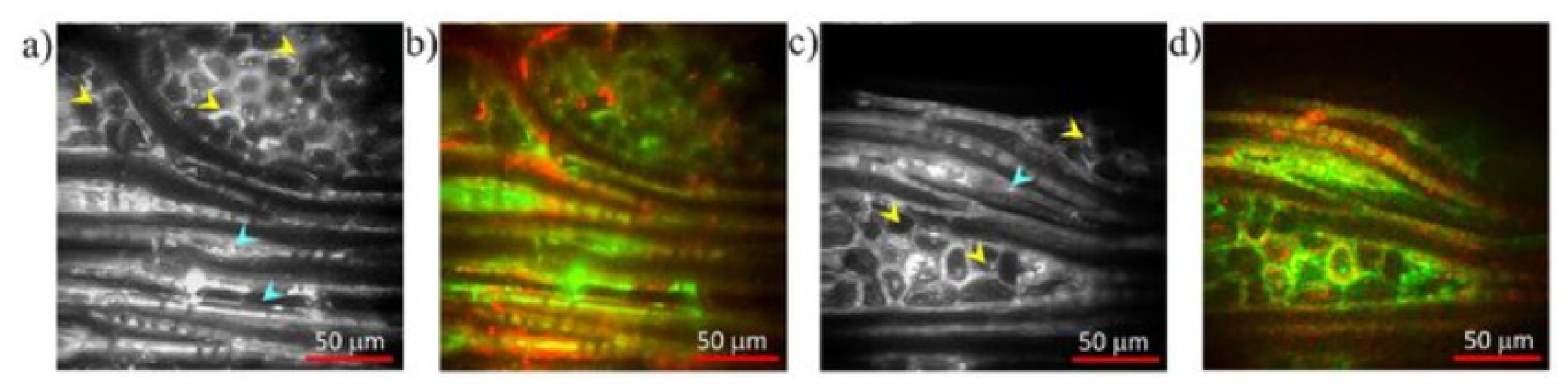 Applsci 16 07504 g008 Applsci 16 07504 g008