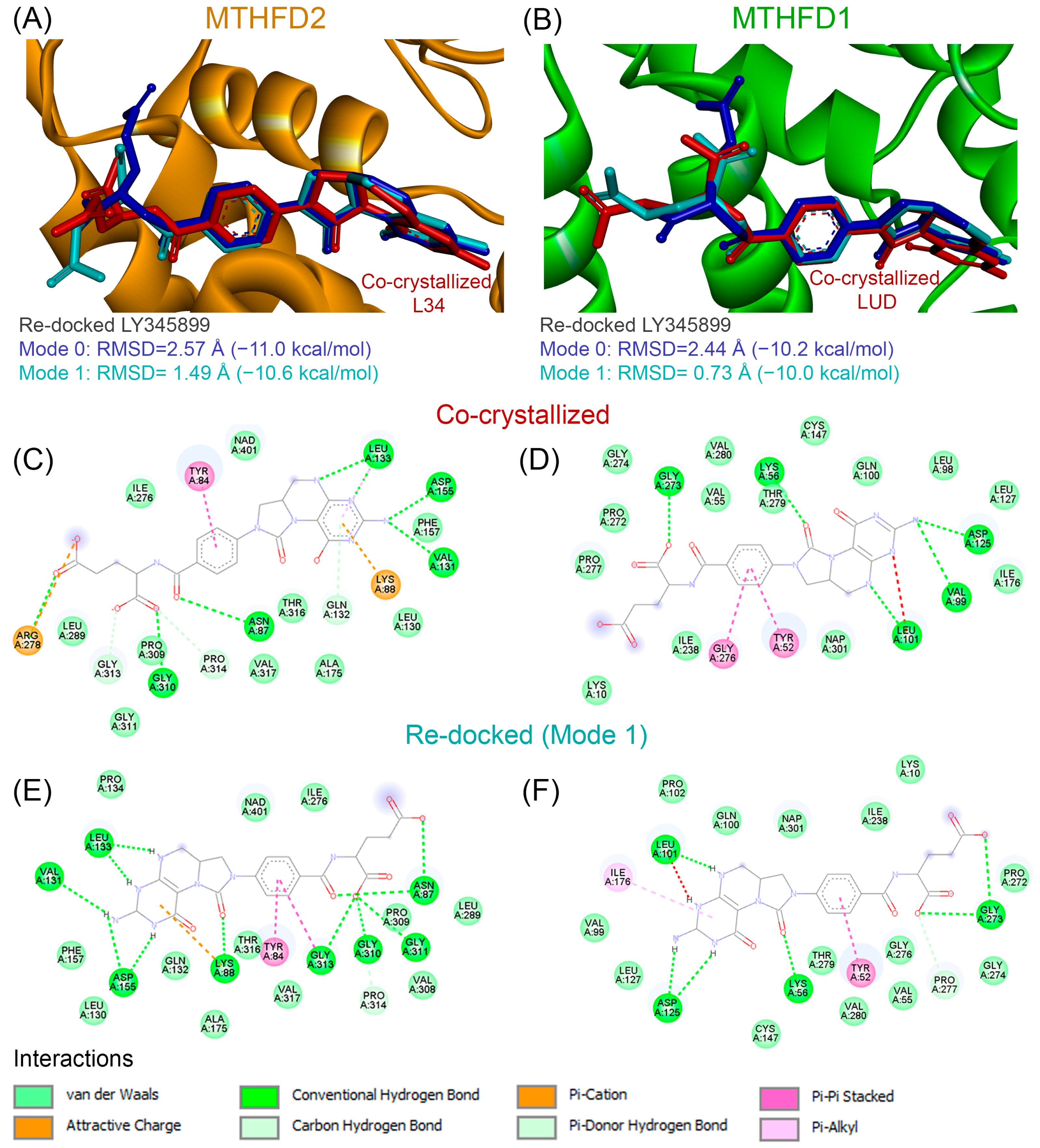 Targeting the Selectivity Barrier in One-Carbon Metabolism