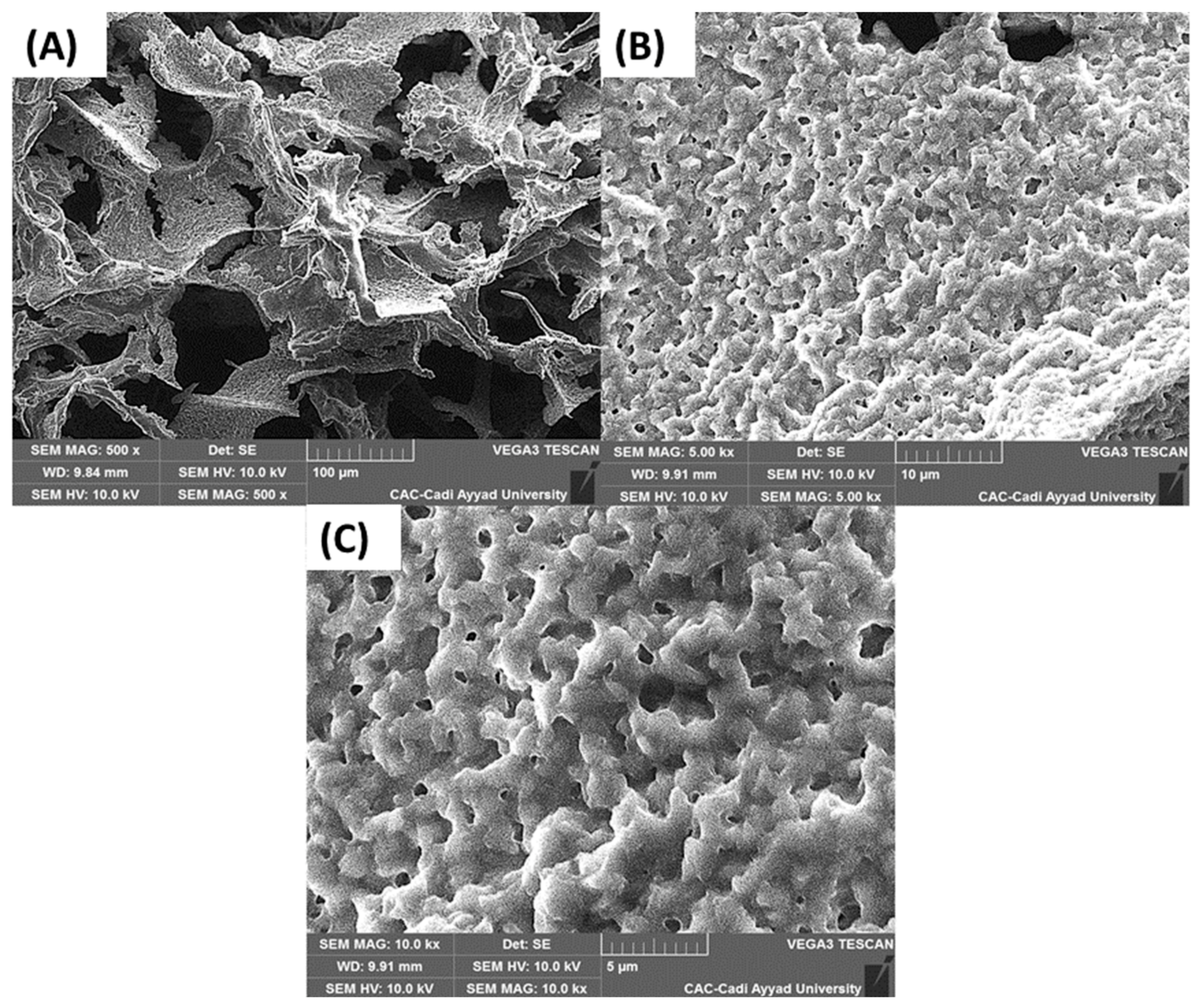 Applsci 16 09091 g002 Applsci 16 09091 g002