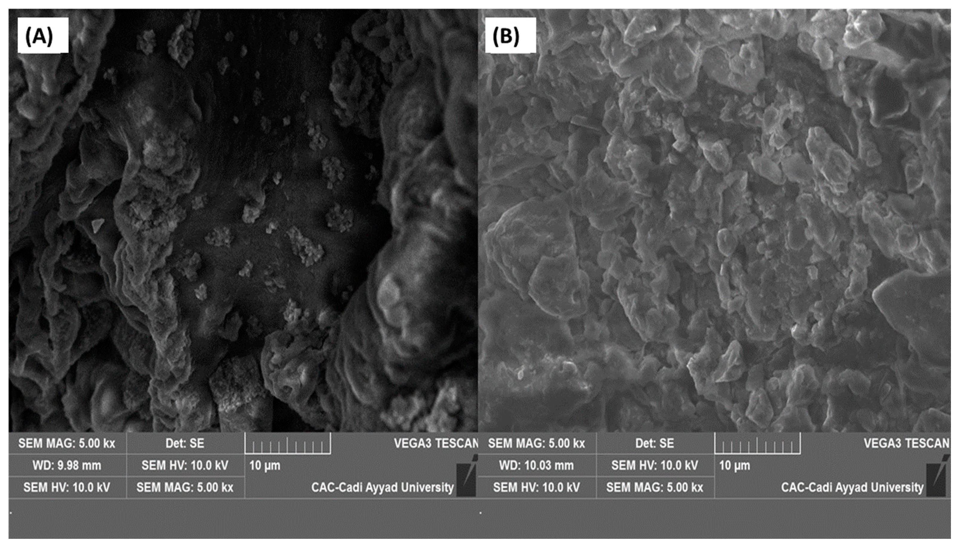 Applsci 16 09091 g007 Applsci 16 09091 g007