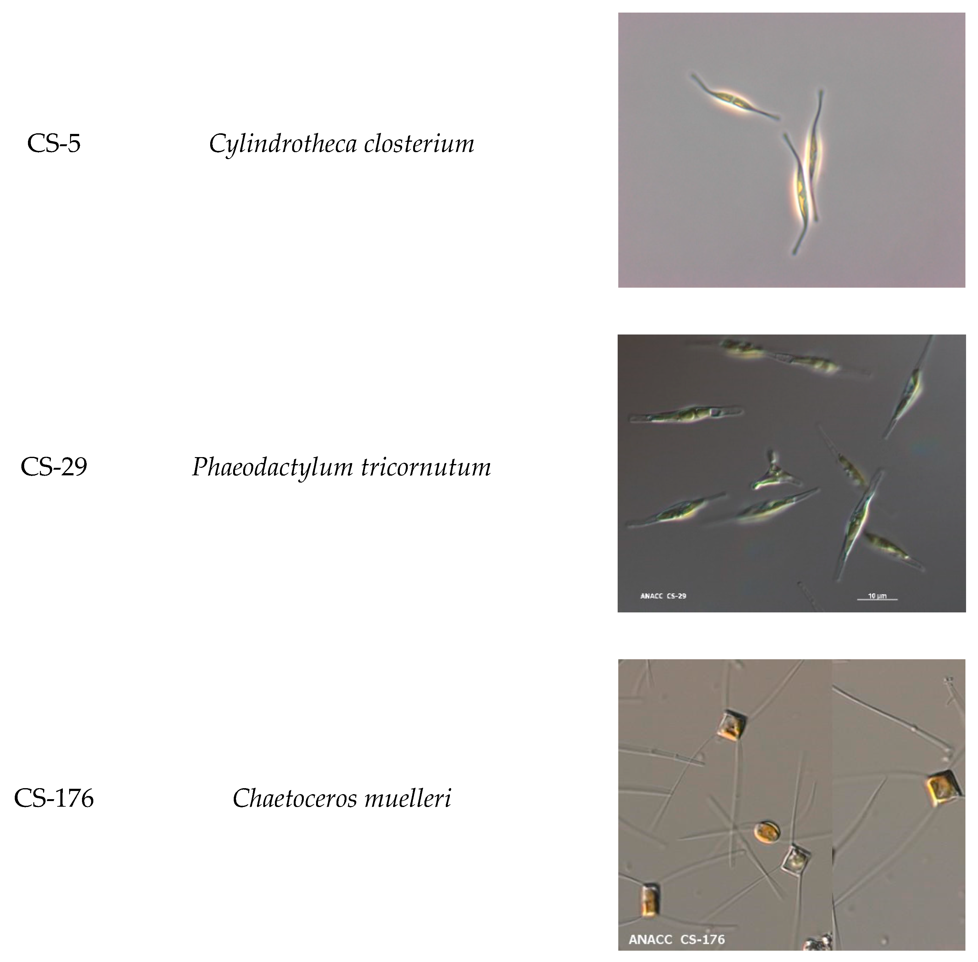 Aquacj 01 00004 g0a1a