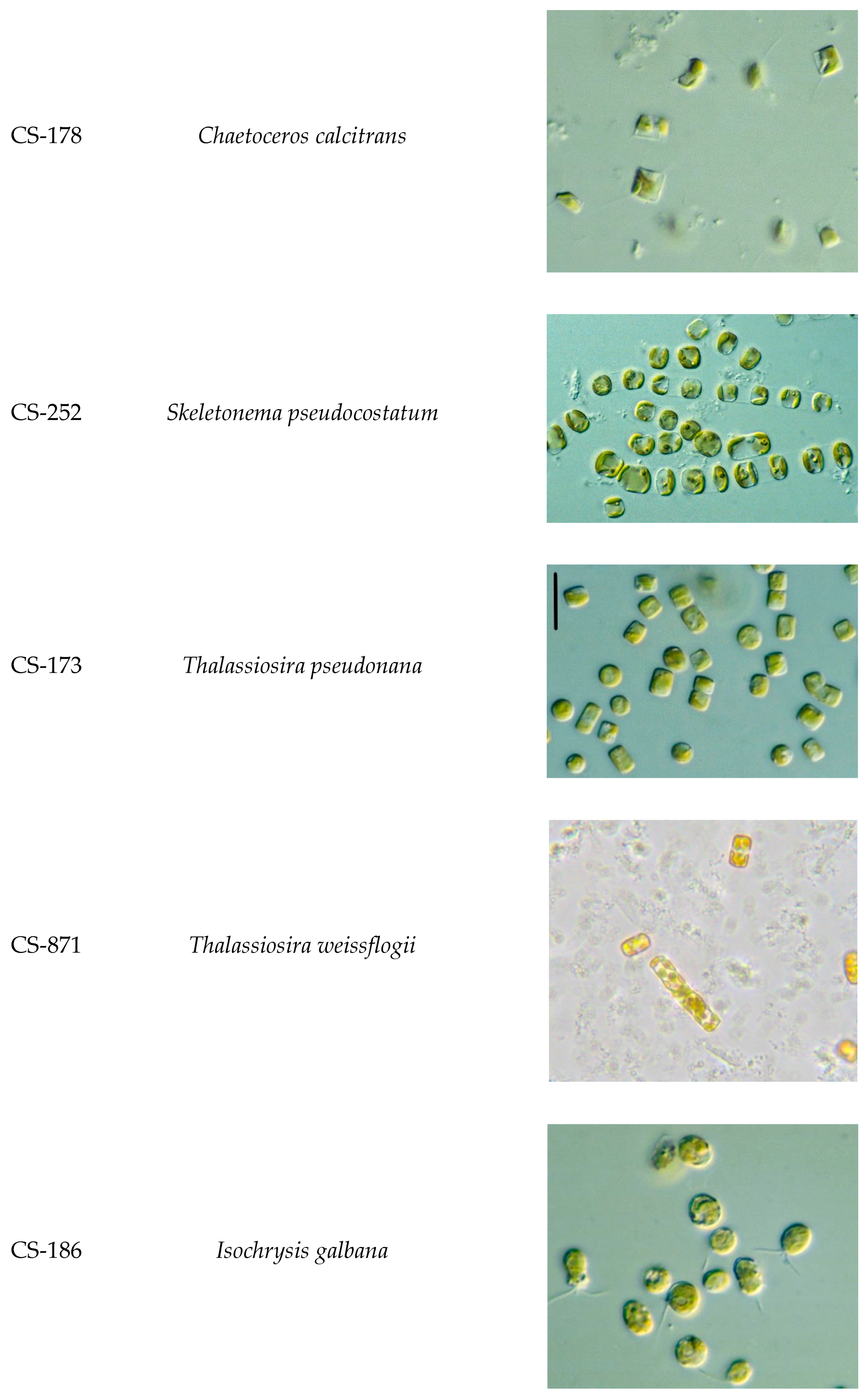 Aquacj 01 00004 g0a1b