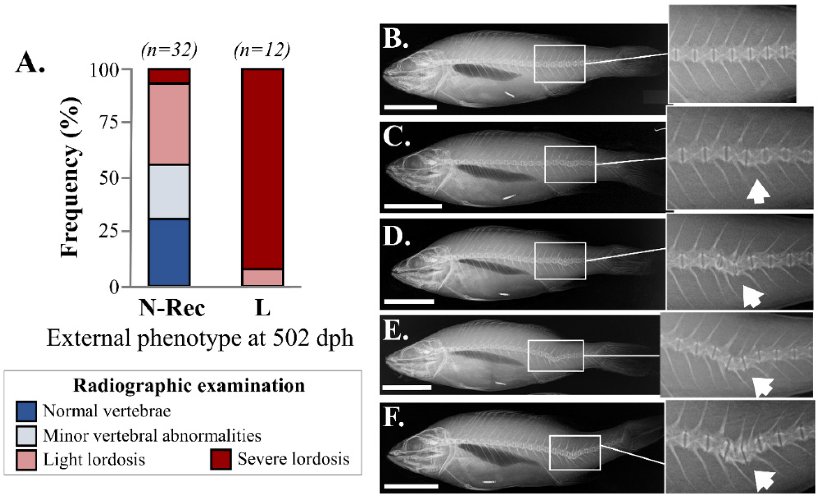 Aquacj 02 00001 g005