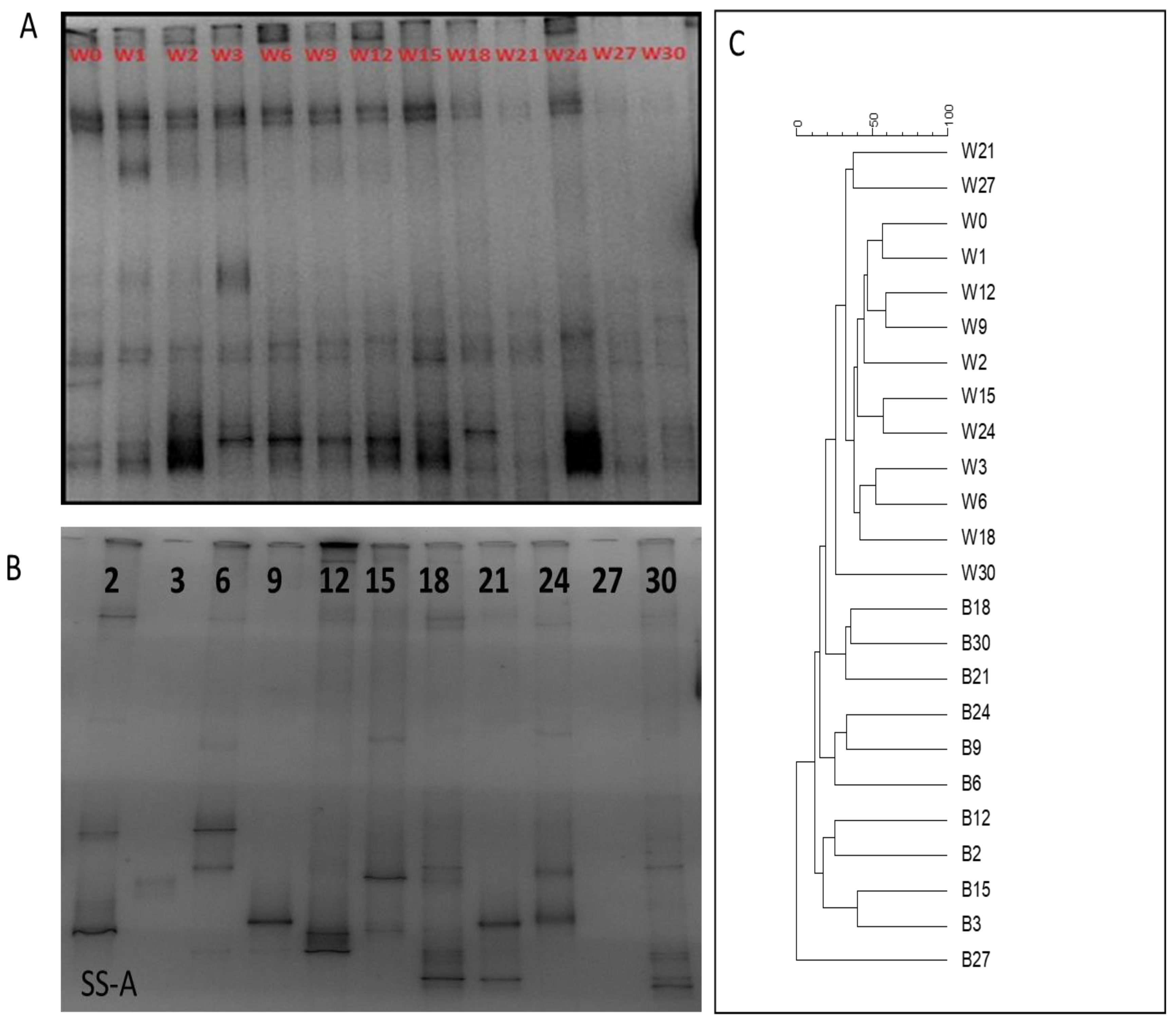 Aquacj 02 00008 g005