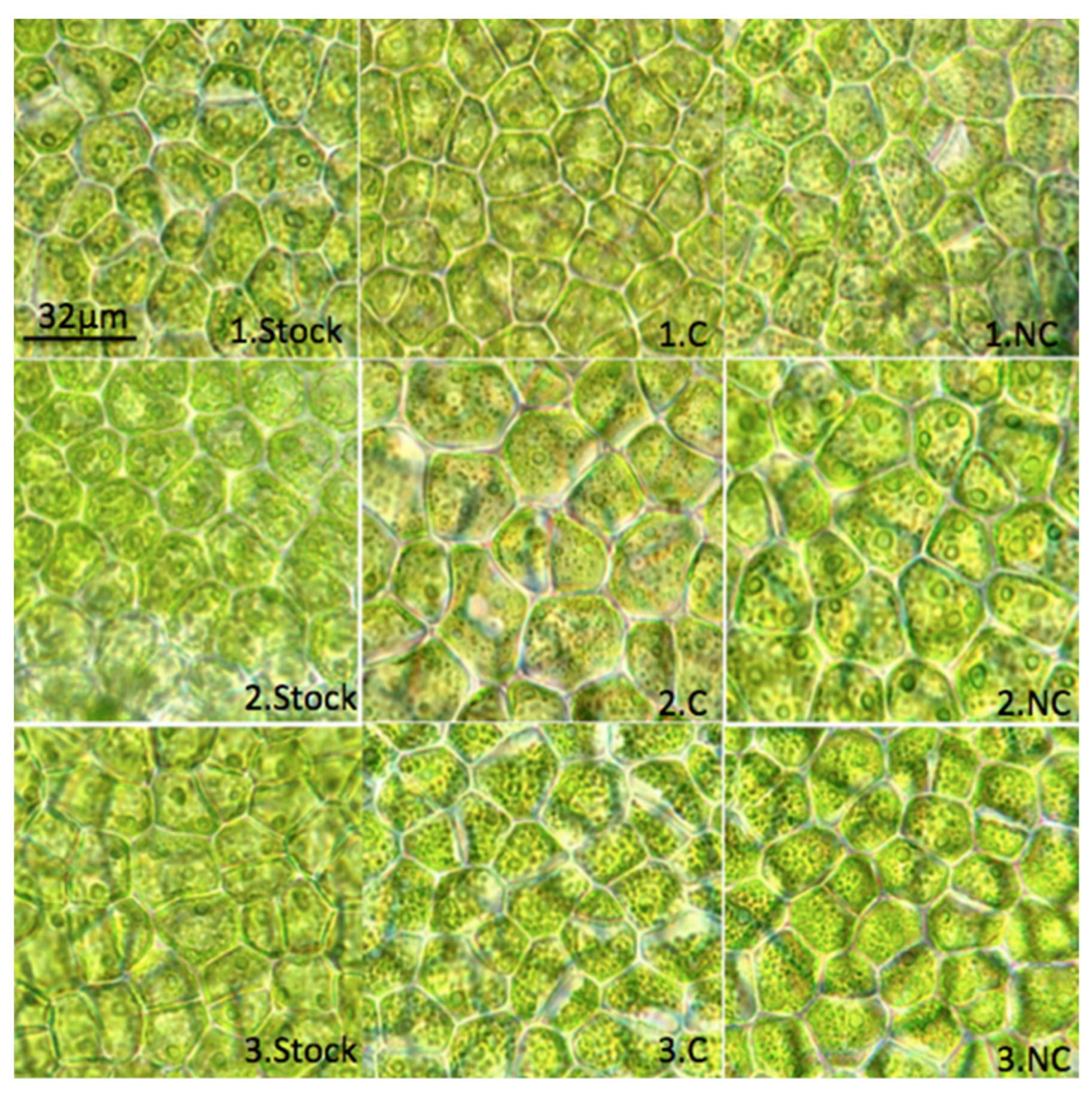 Aquacj 02 00017 g007