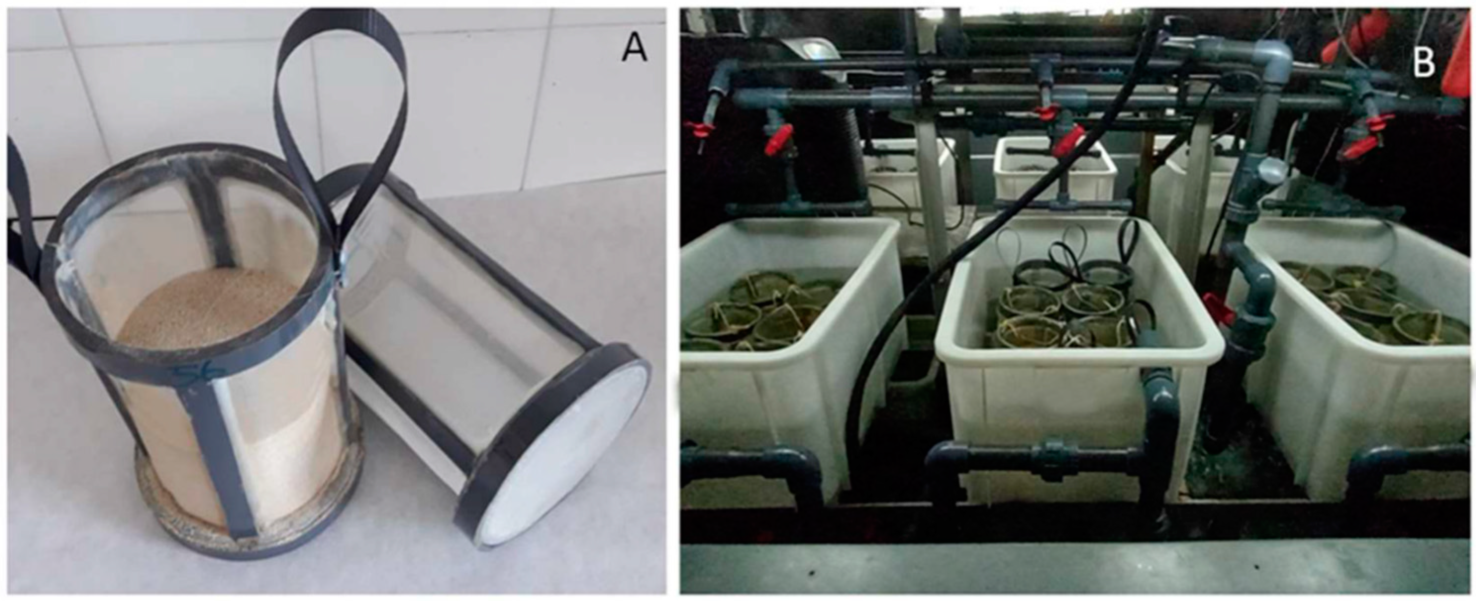 Aquacj 03 00004 g001 Aquacj 03 00004 g001