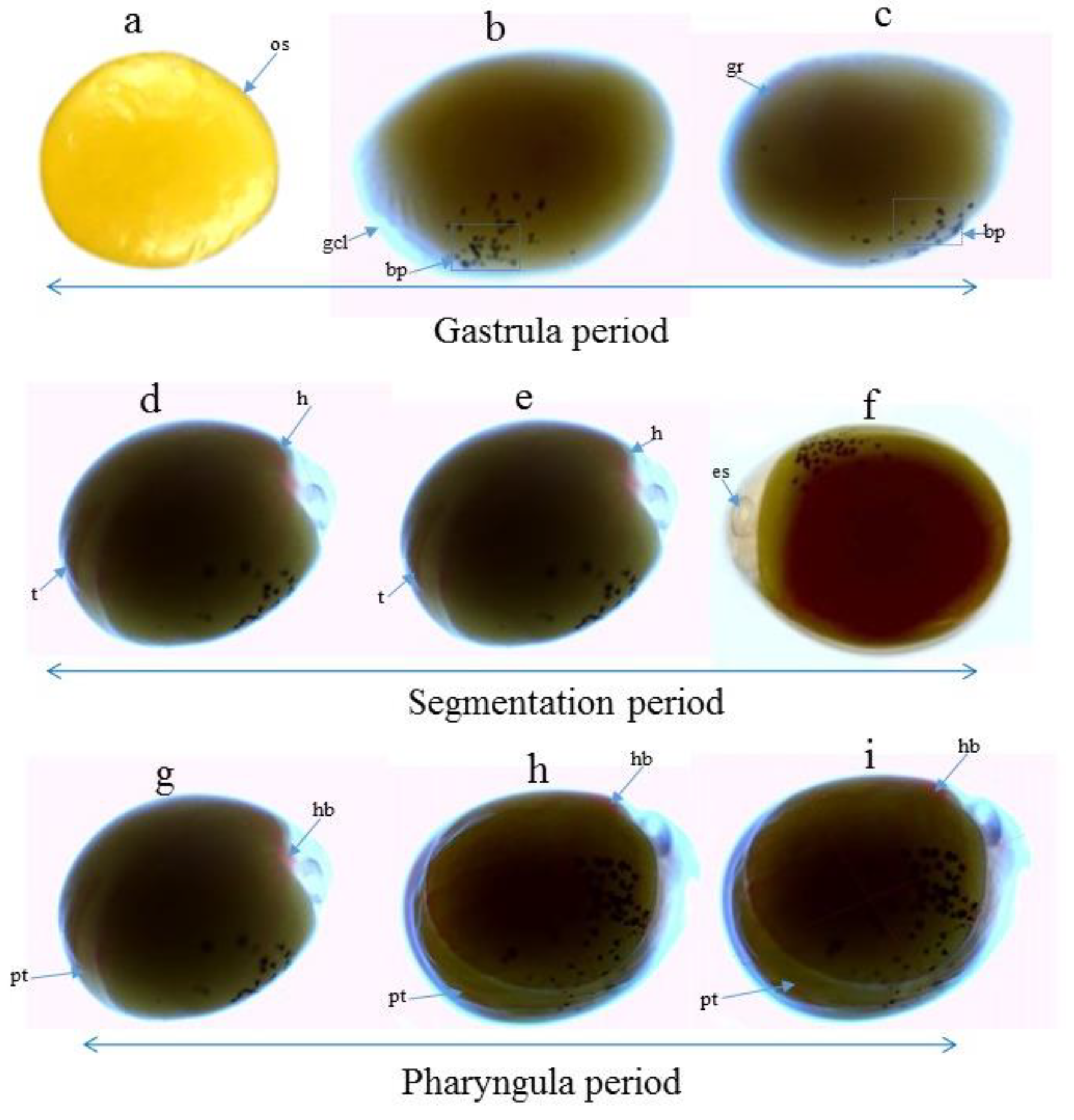 Aquacj 03 00008 g001 Aquacj 03 00008 g001