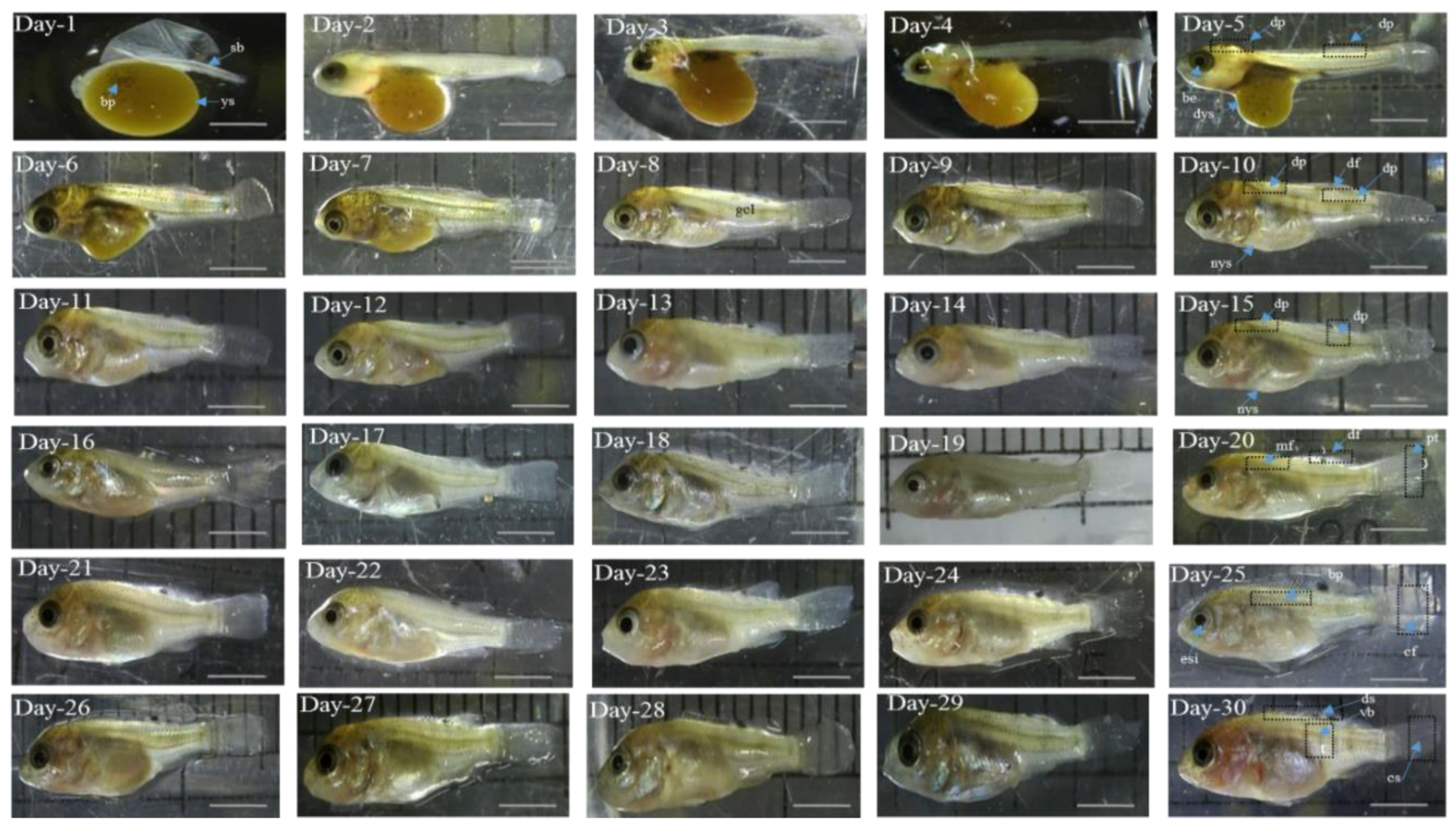 Aquacj 03 00008 g003 Aquacj 03 00008 g003