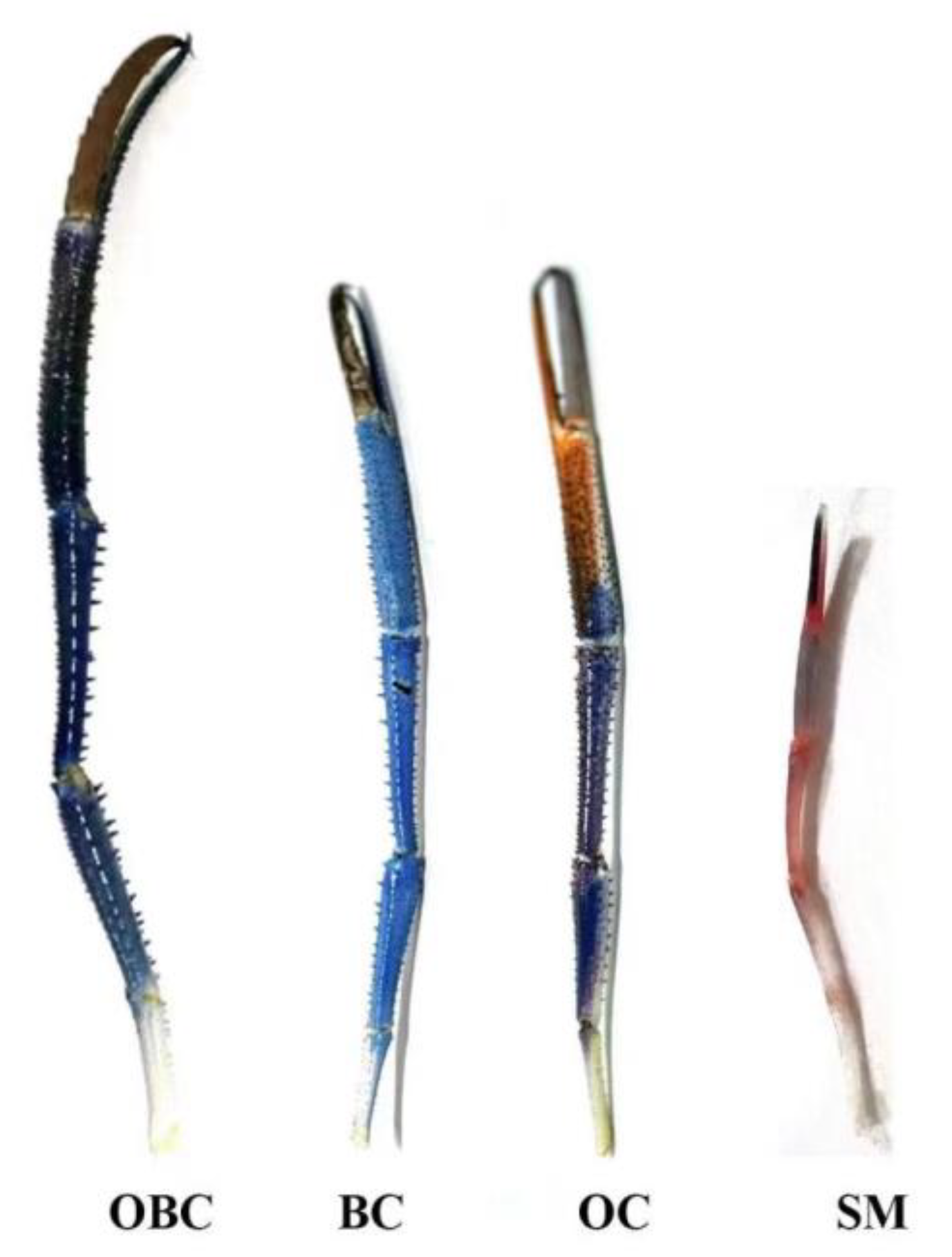 Aquacj 03 00012 g005 Aquacj 03 00012 g005