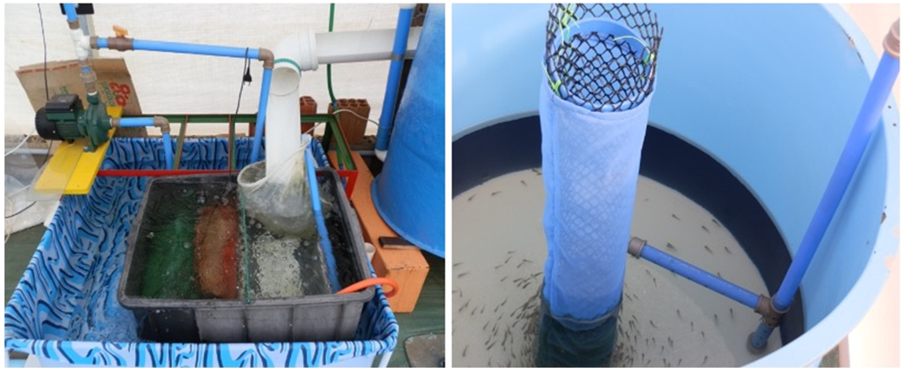 Aquacj 03 00017 g003 Aquacj 03 00017 g003