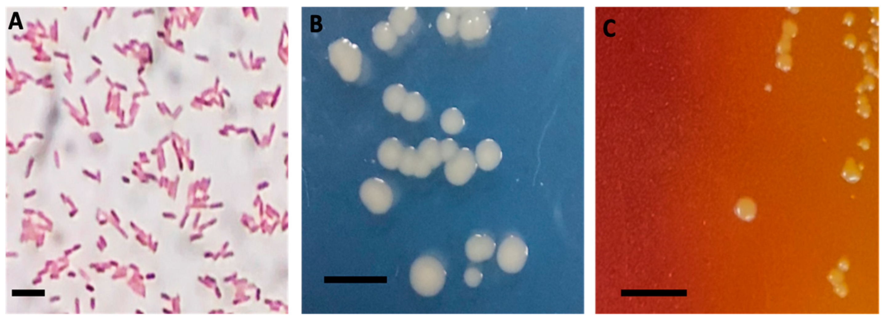 Aquacj 04 00012 g001