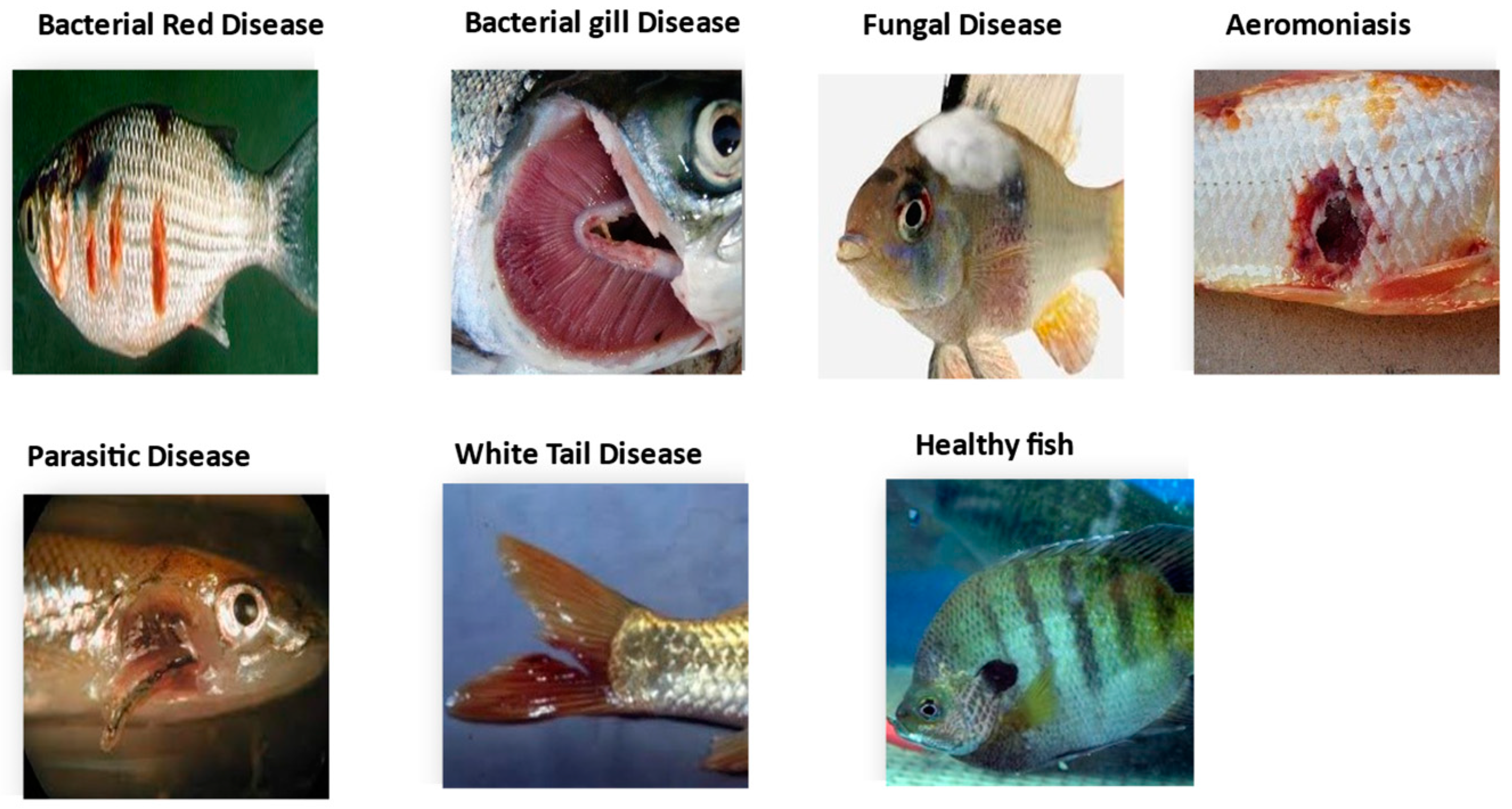 Aquacj 05 00006 g004