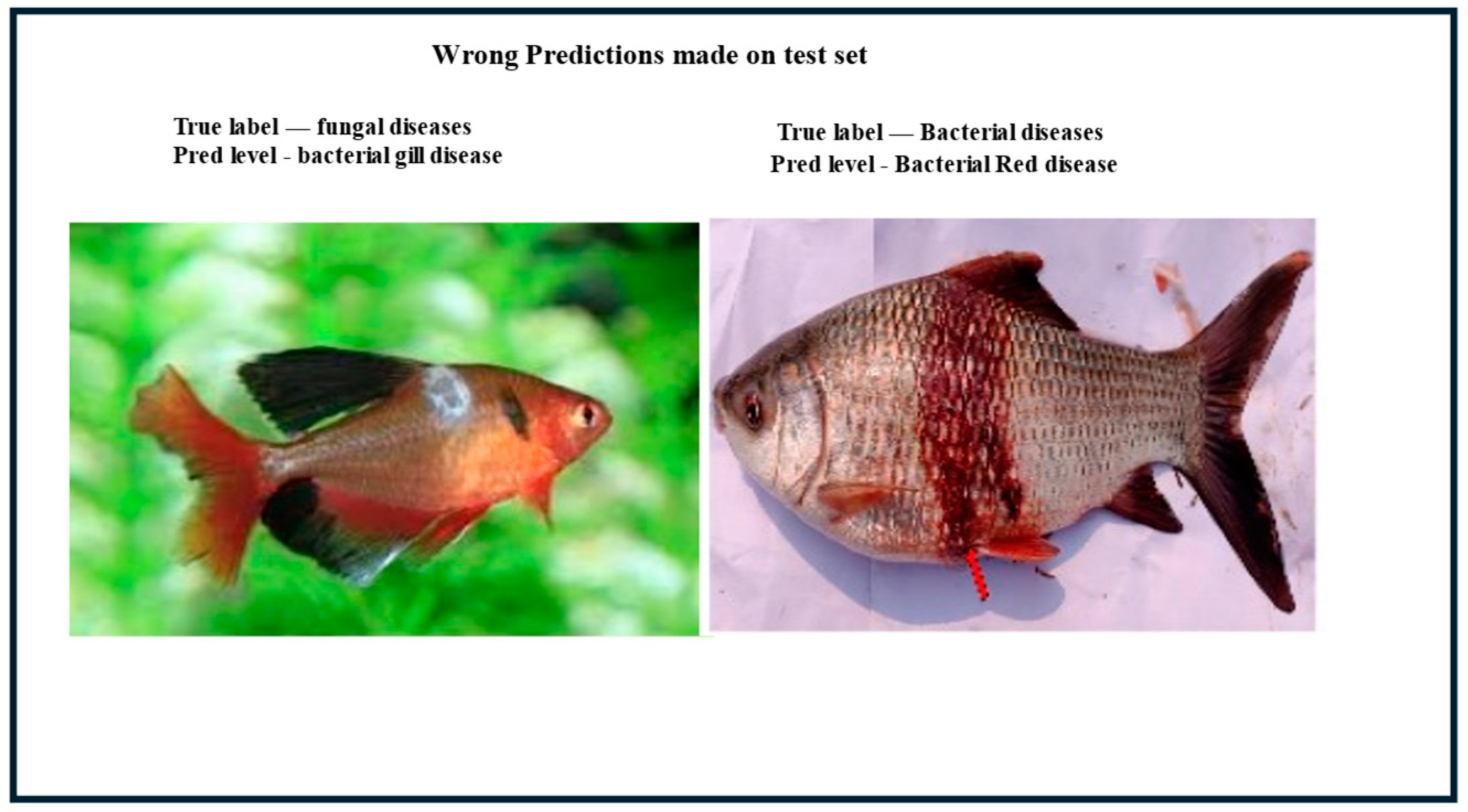 Aquacj 05 00006 g009