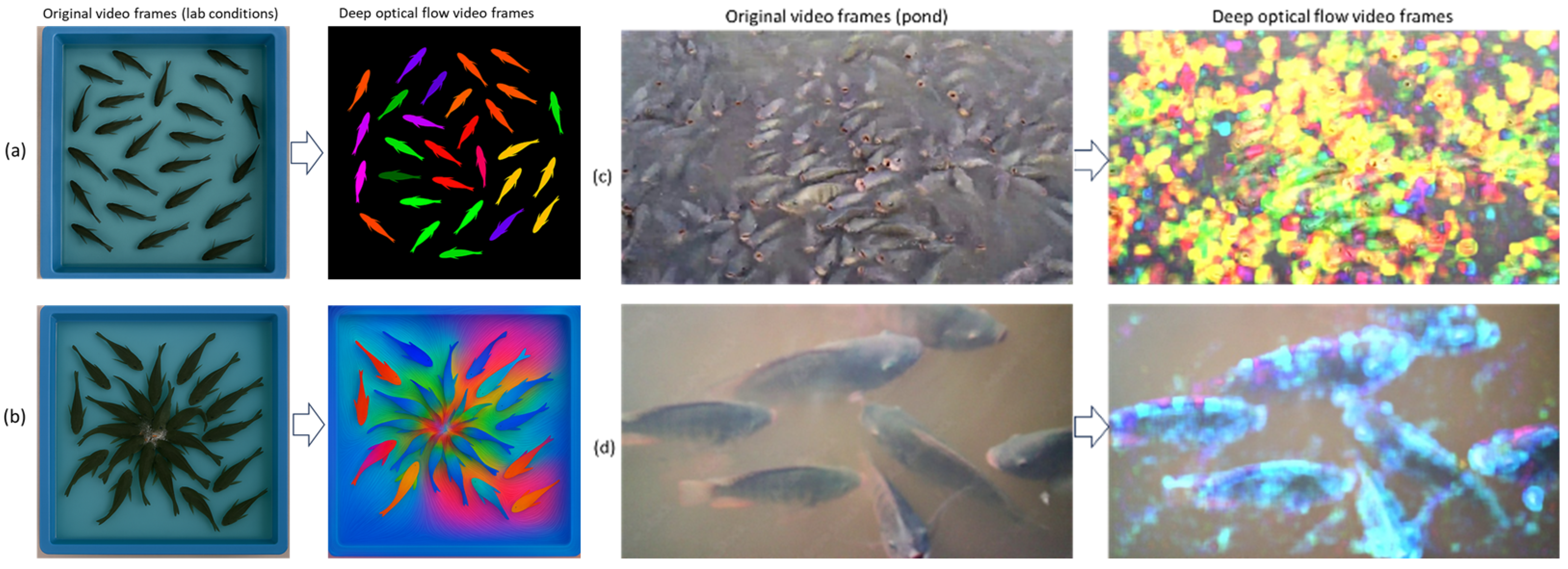 Aquacj 05 00015 g005