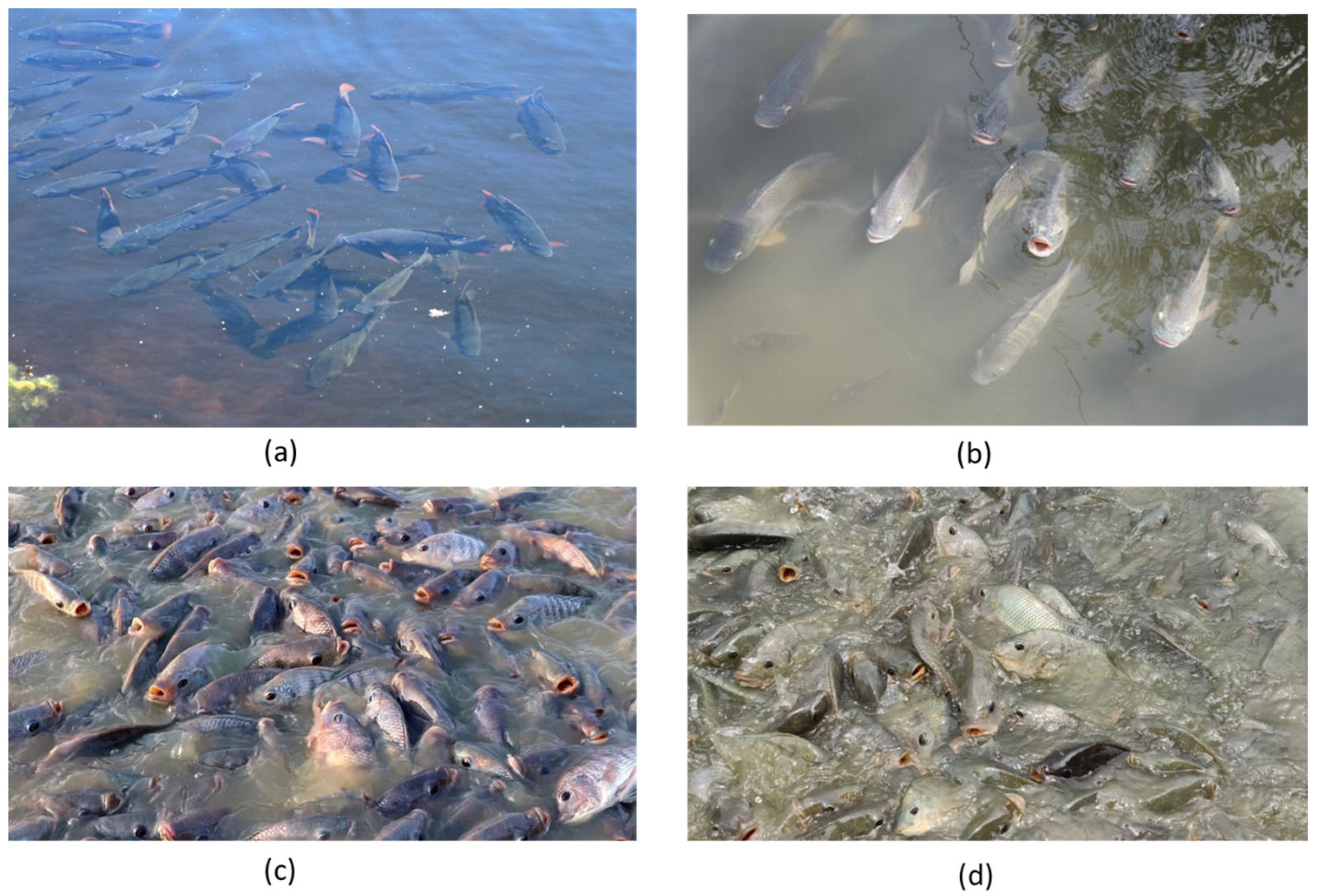 Aquacj 05 00015 g007