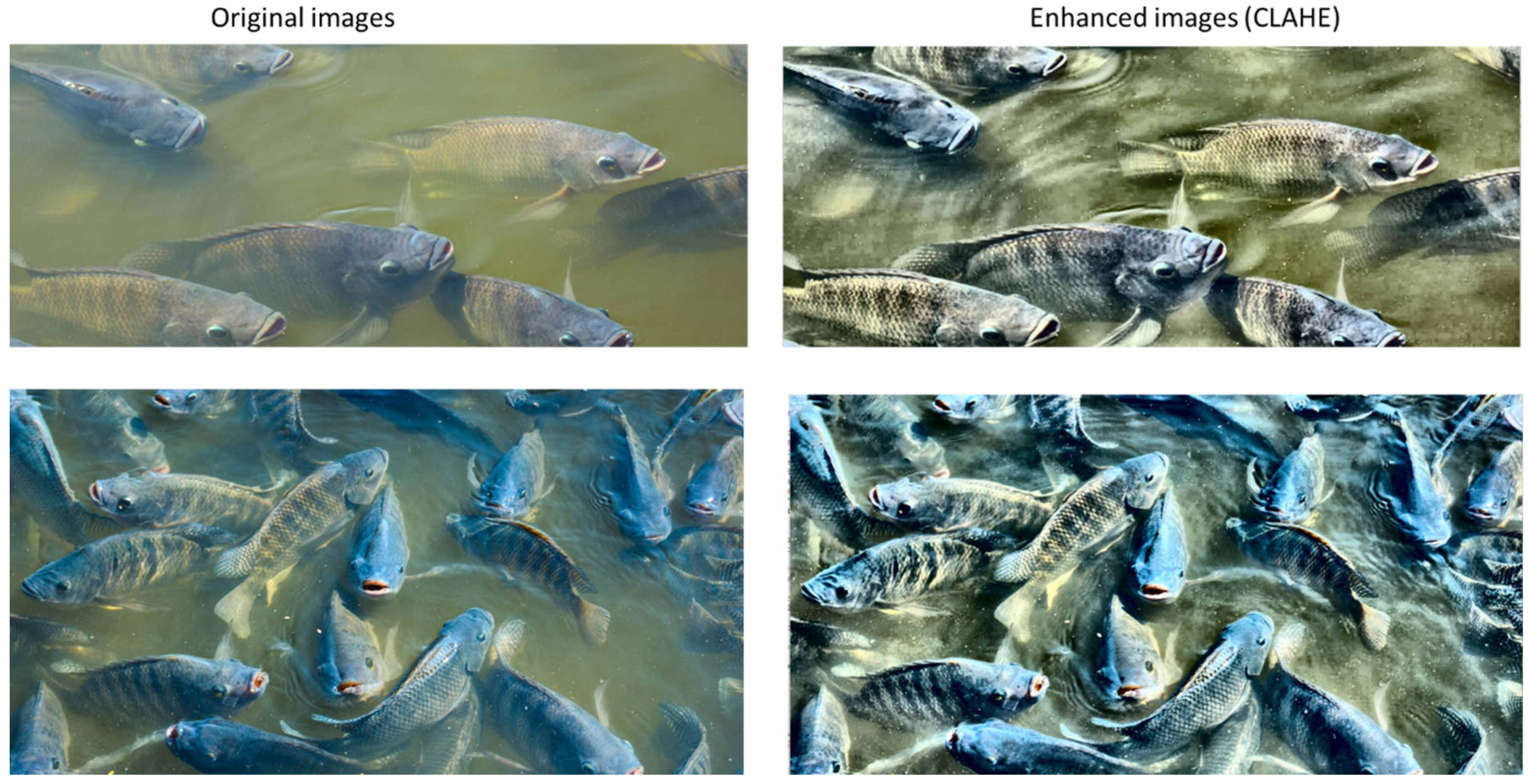 Aquacj 05 00015 g009