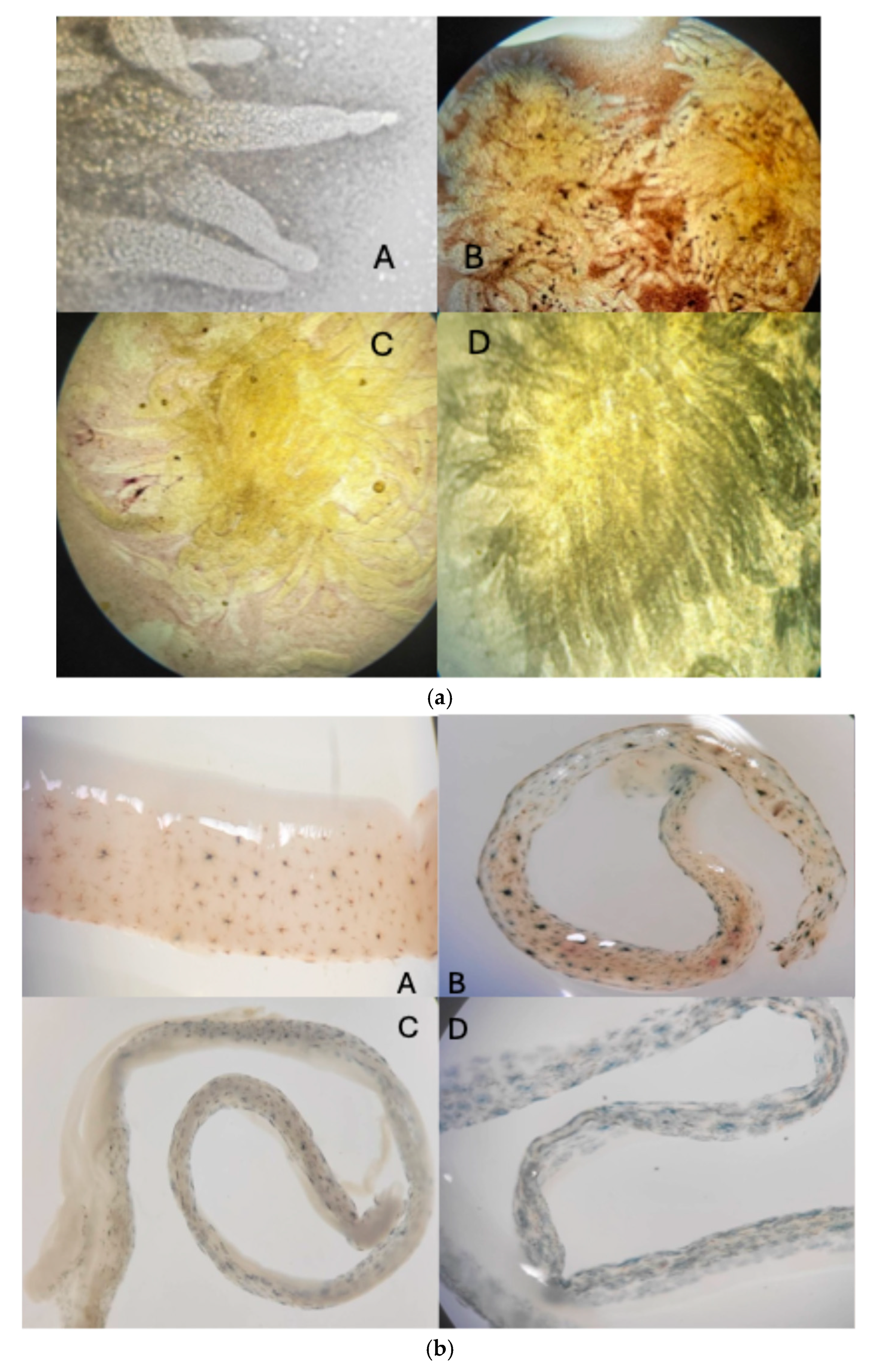 Aquacj 05 00019 g008