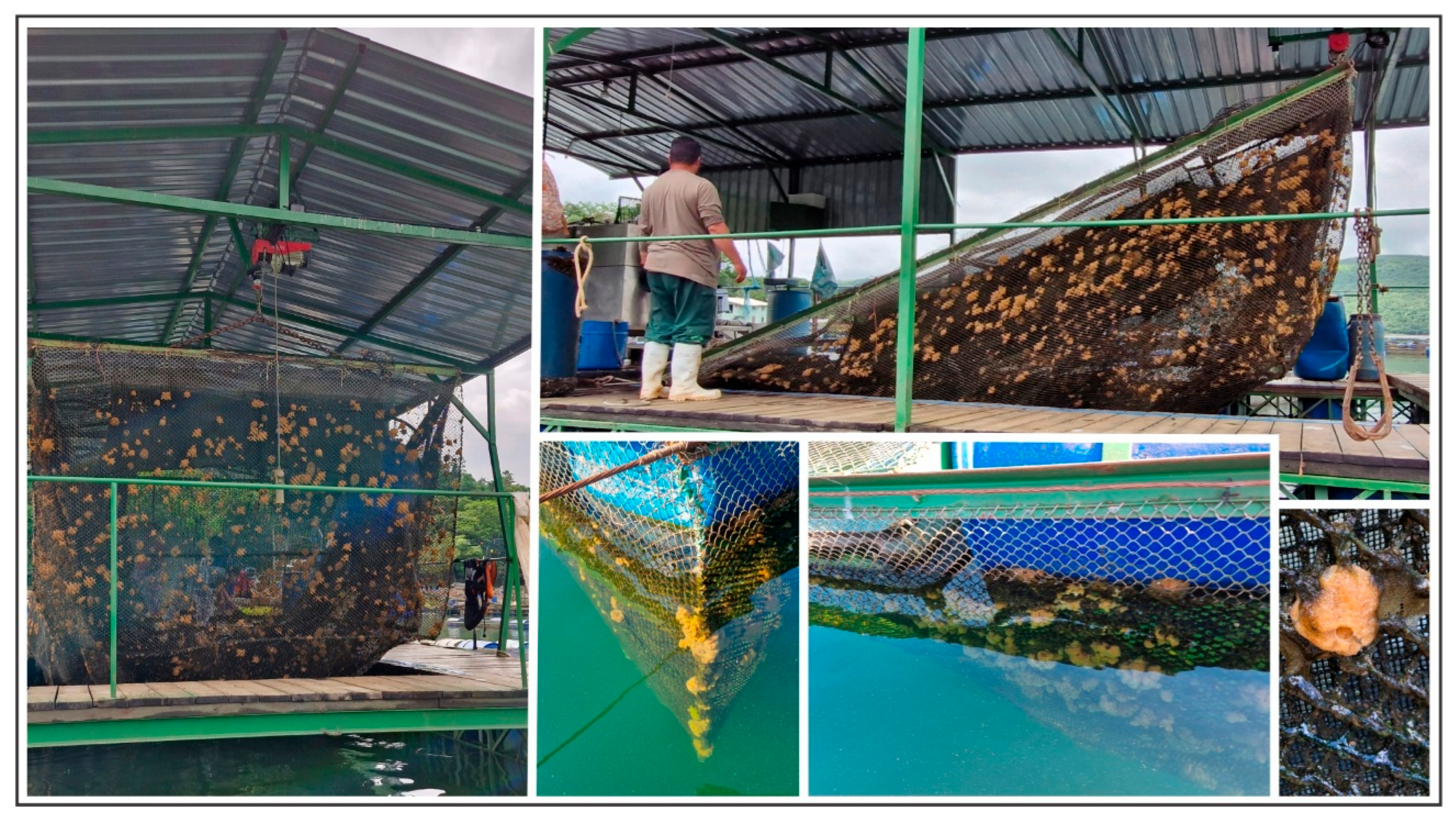 Aquacj 05 00020 g002 Aquacj 05 00020 g002