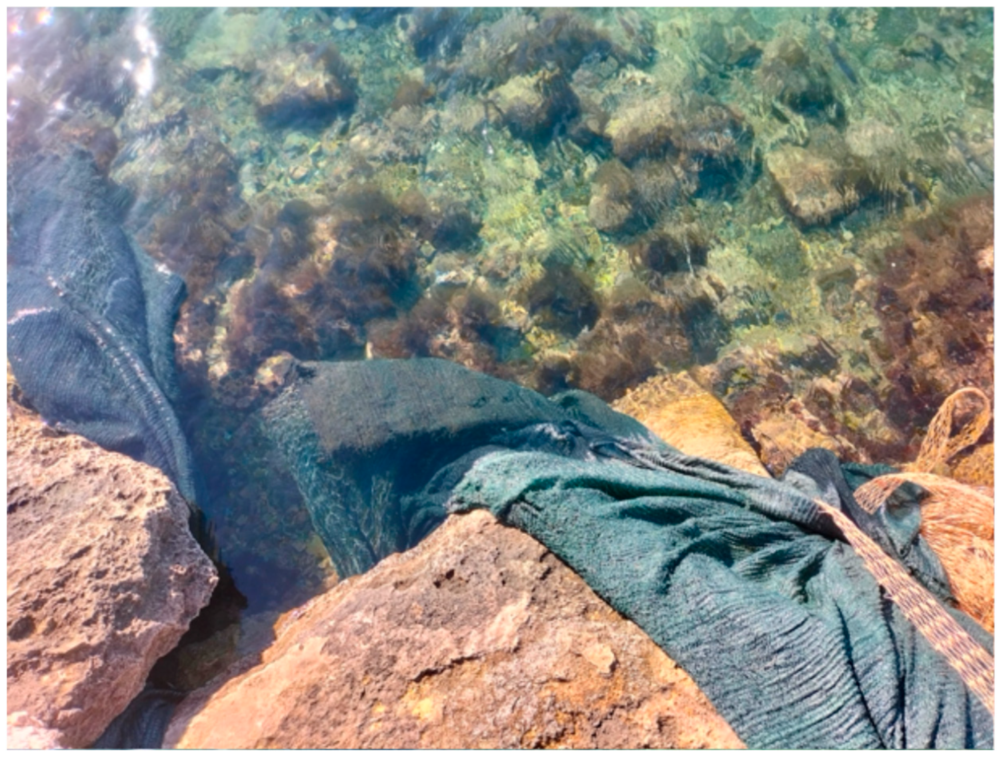 Aquacj 05 00024 g008