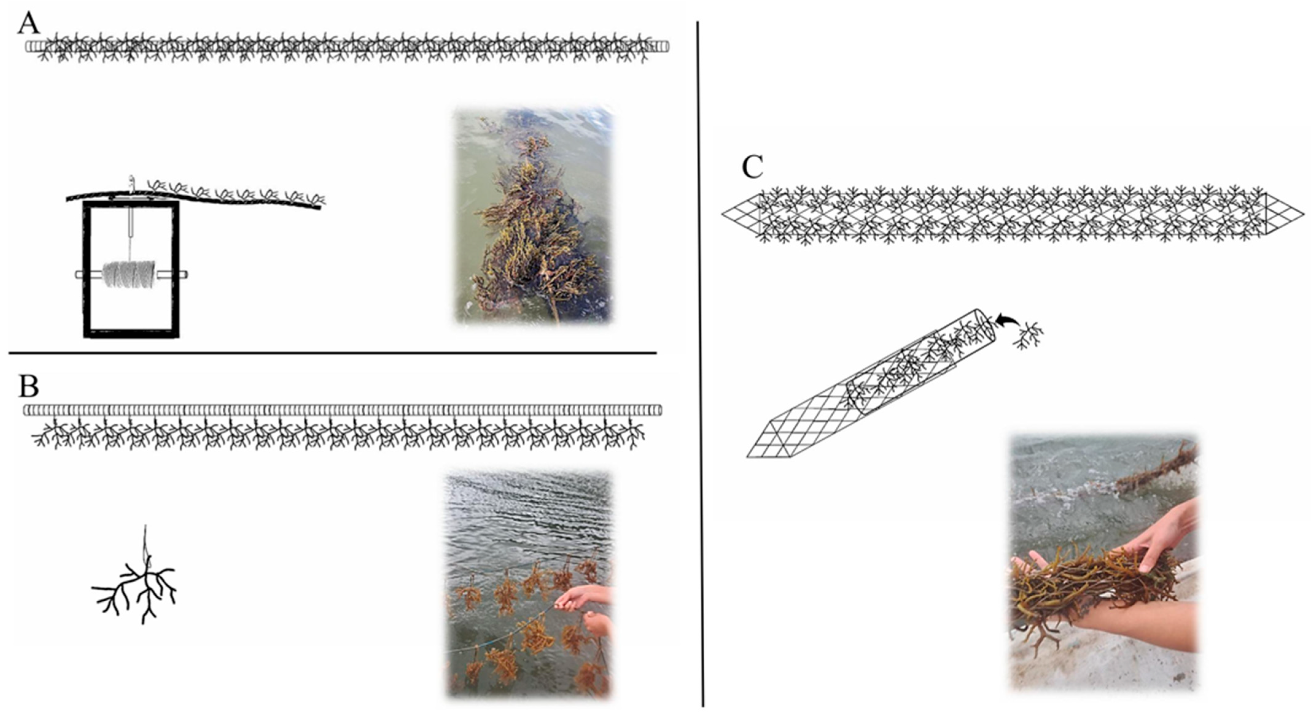 Aquacj 05 00025 g004