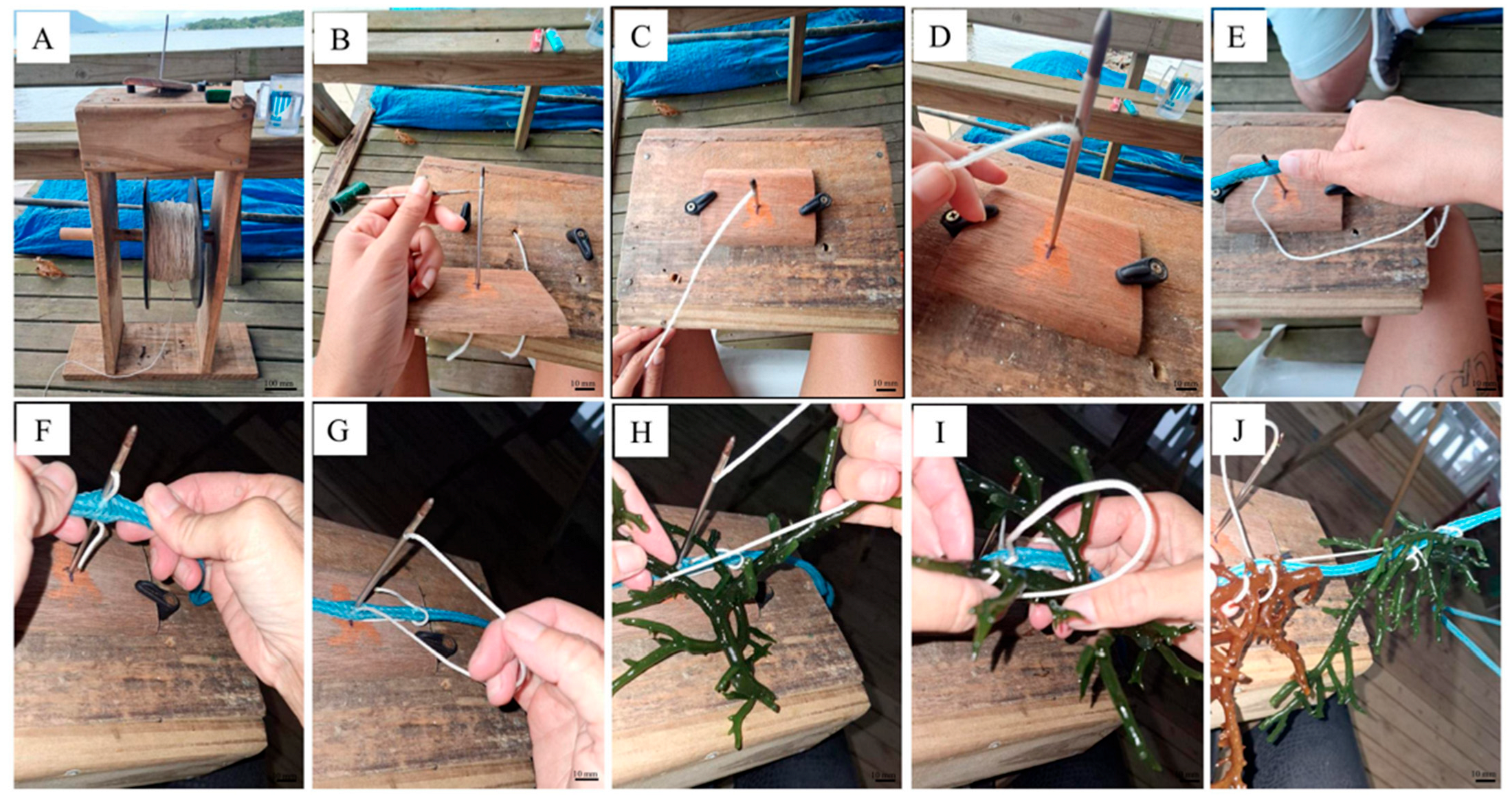 Aquacj 05 00025 g005