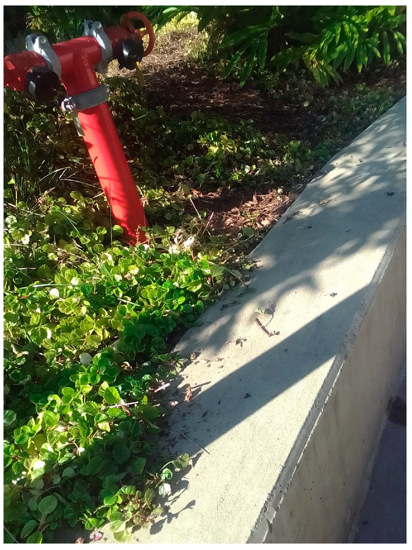 Architecture 04 00035 g015