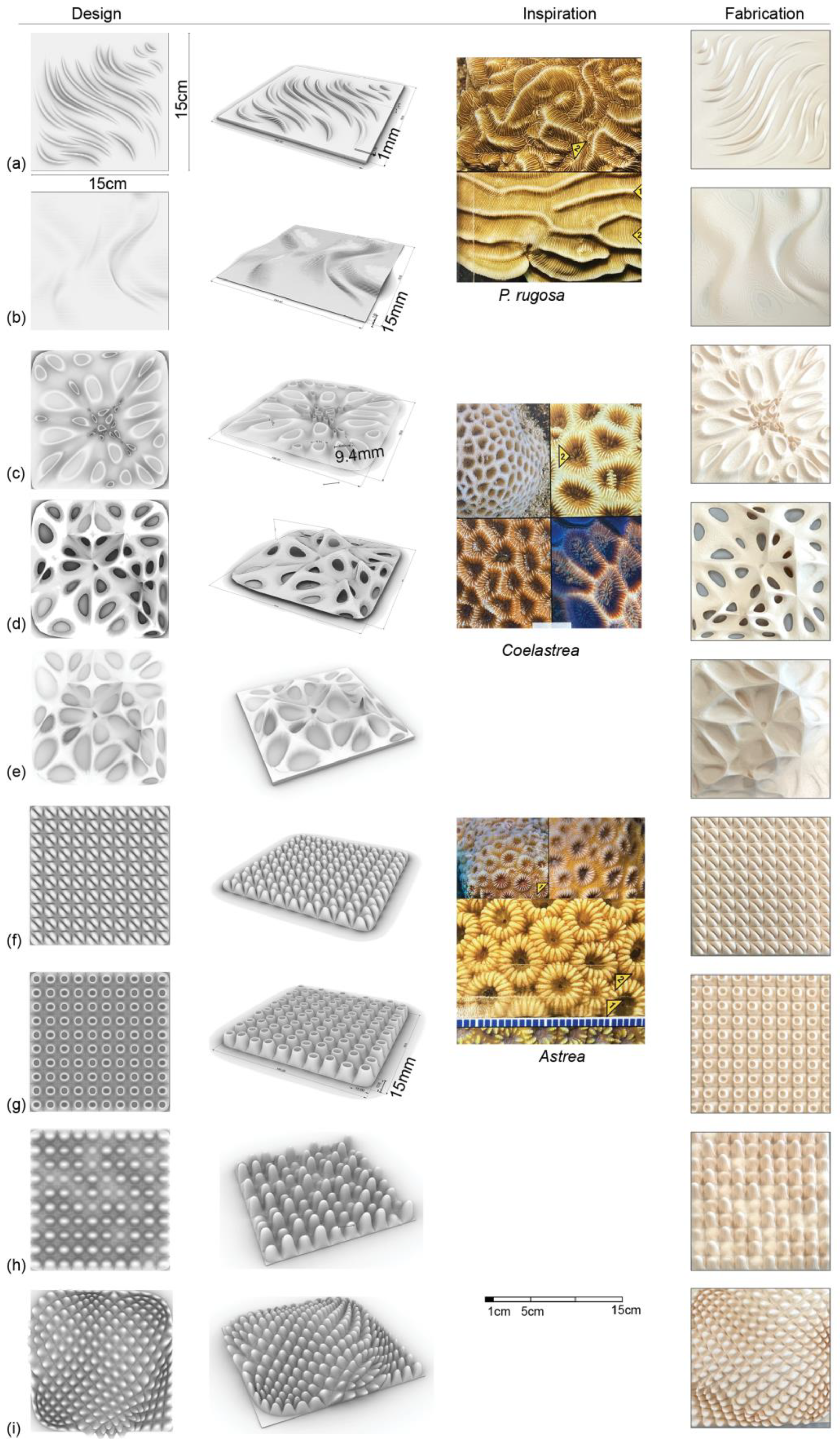 Architecture 05 00020 g001