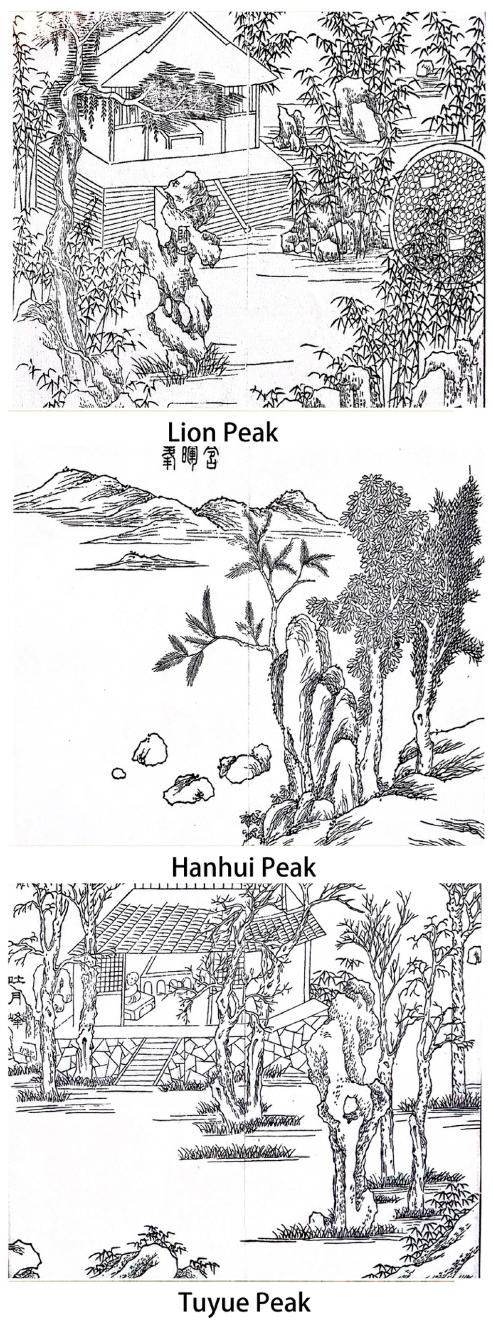 Architecture 05 00057 g006