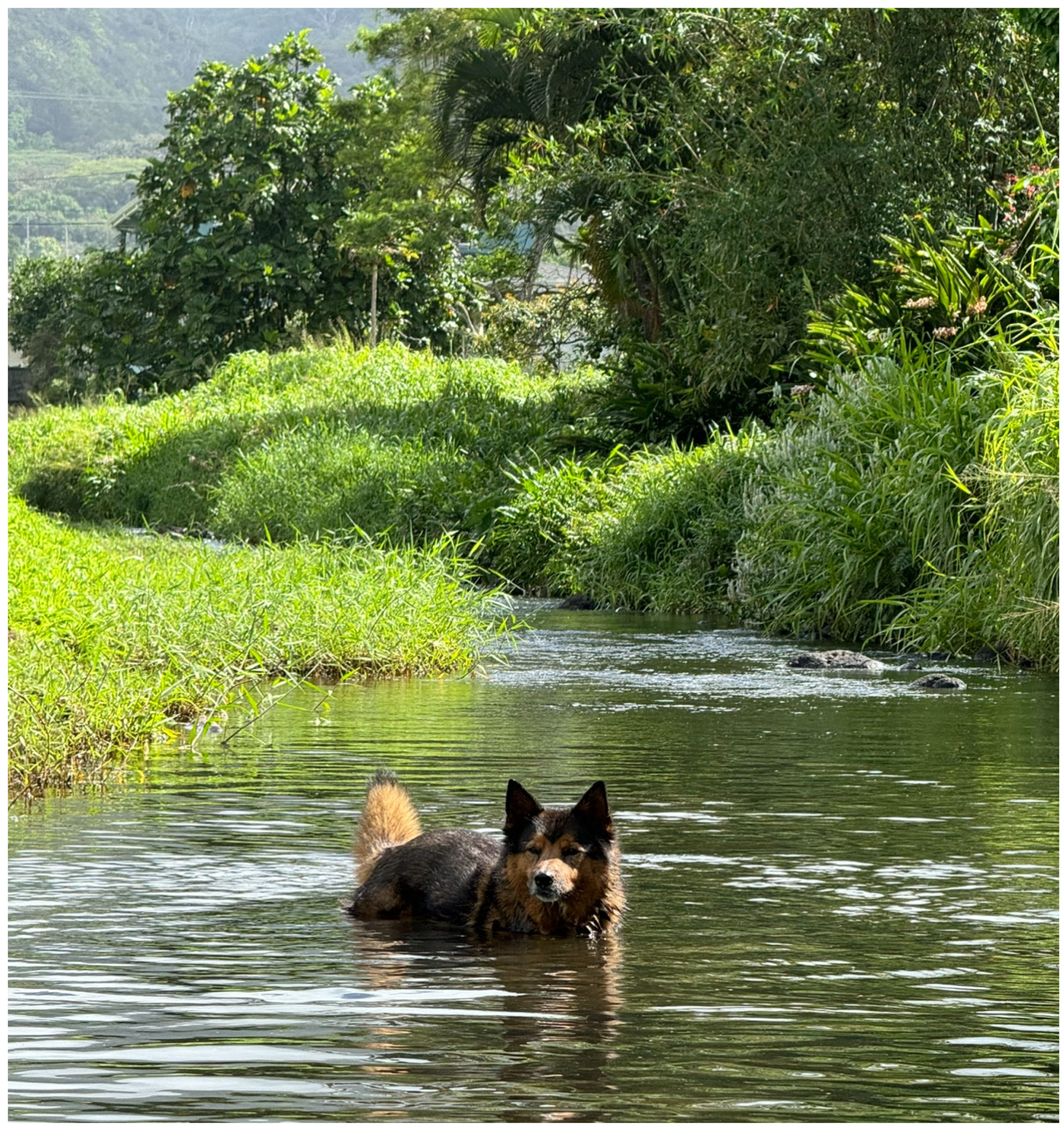 Architecture 05 00081 g002