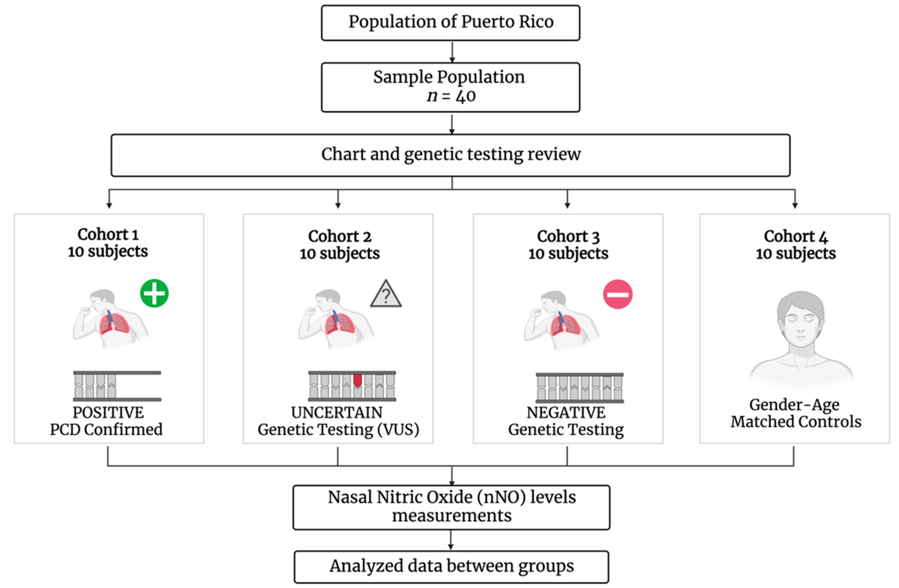 ARM Free FullText Nasal Nitric Oxide Levels Improving the