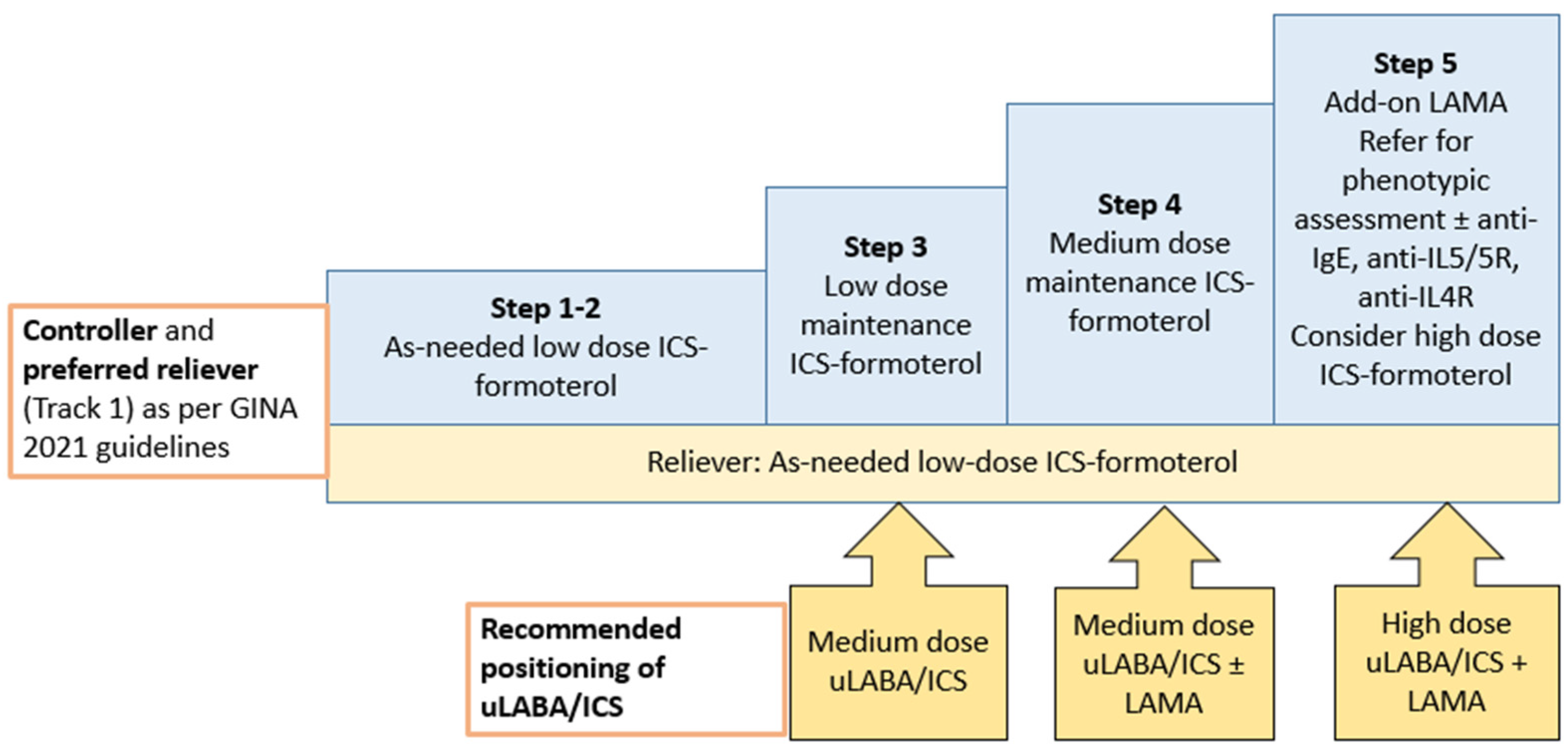 ARM Free FullText ICS/Ultra LABA in the Treatment of Obstructive