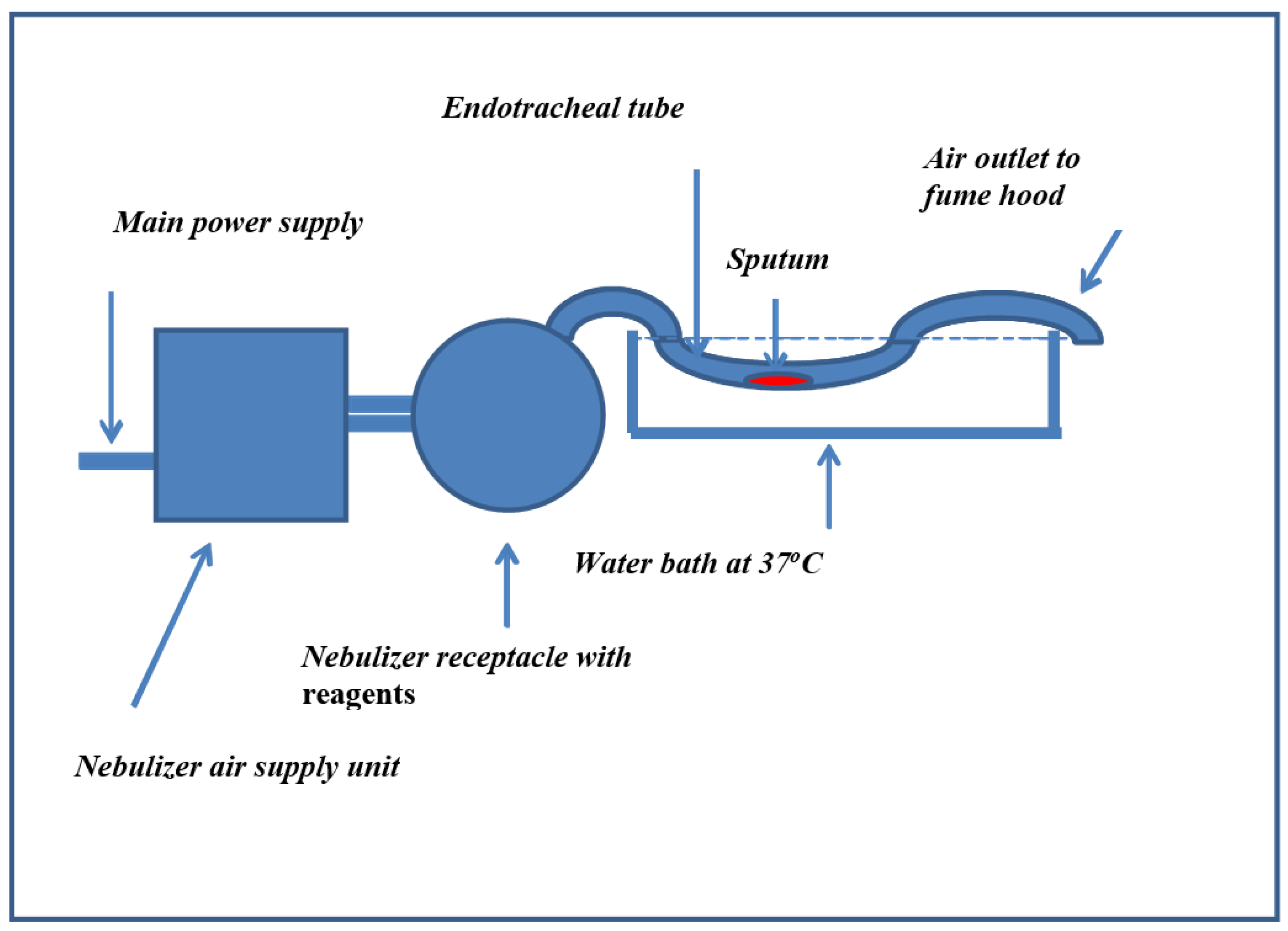 Arm 91 00013 g001 Arm 91 00013 g001