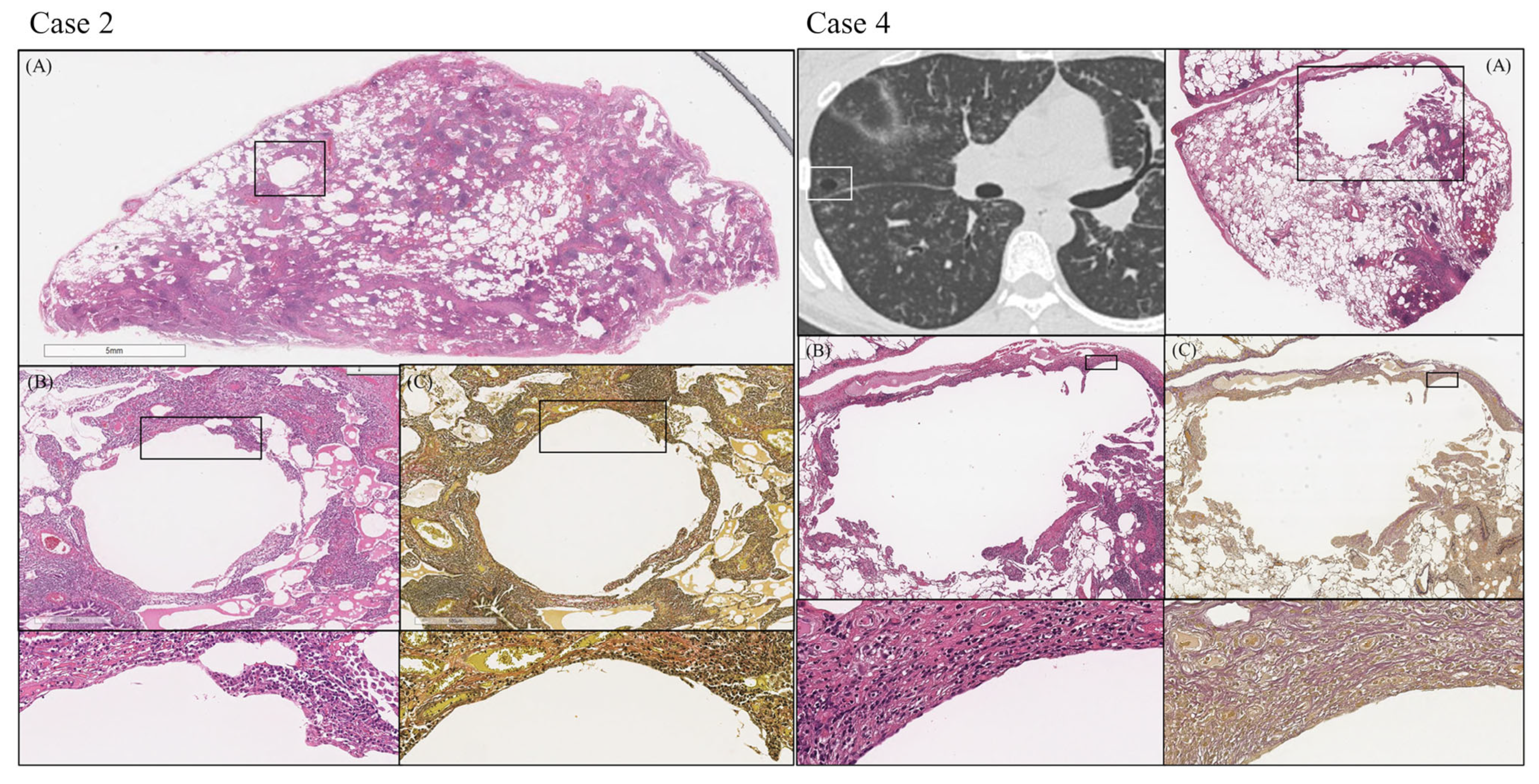 Arm 91 00014 g003 Arm 91 00014 g003