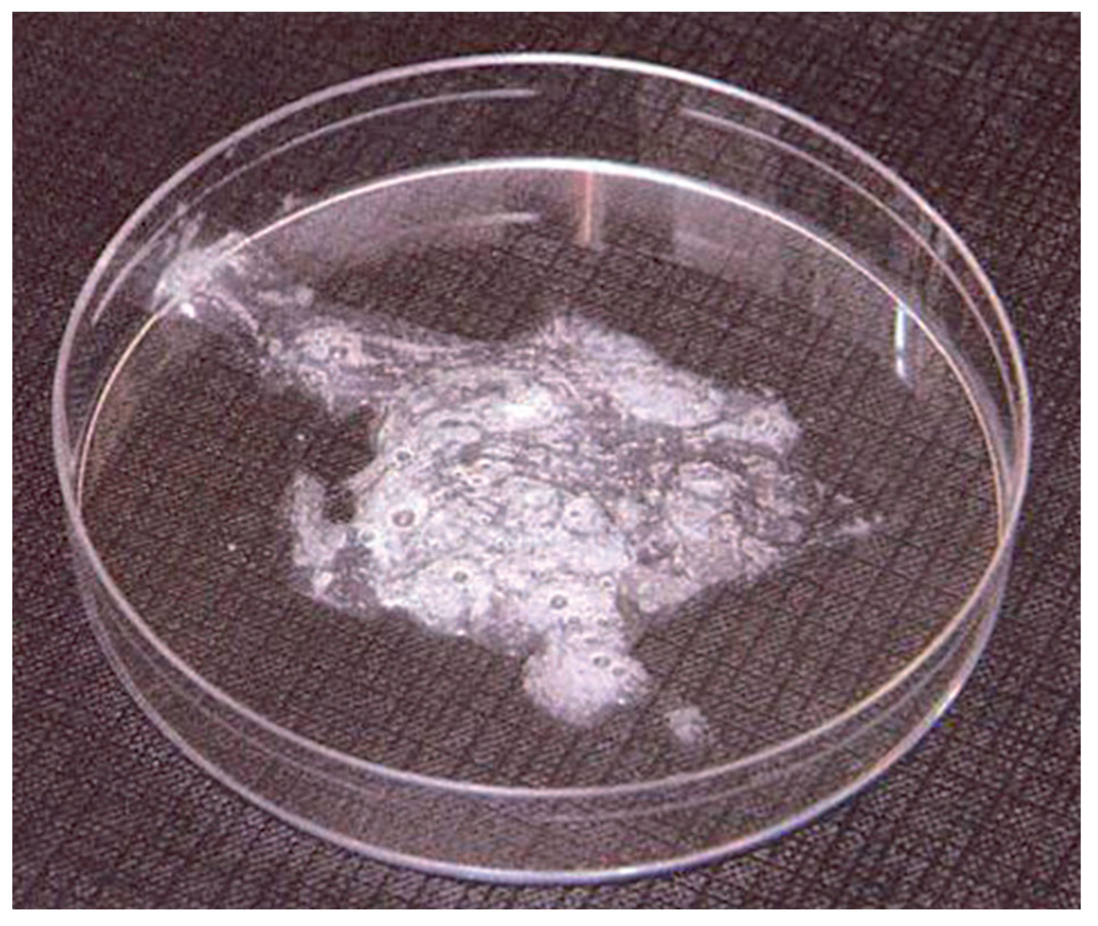 Arm 91 00031 g002 Arm 91 00031 g002