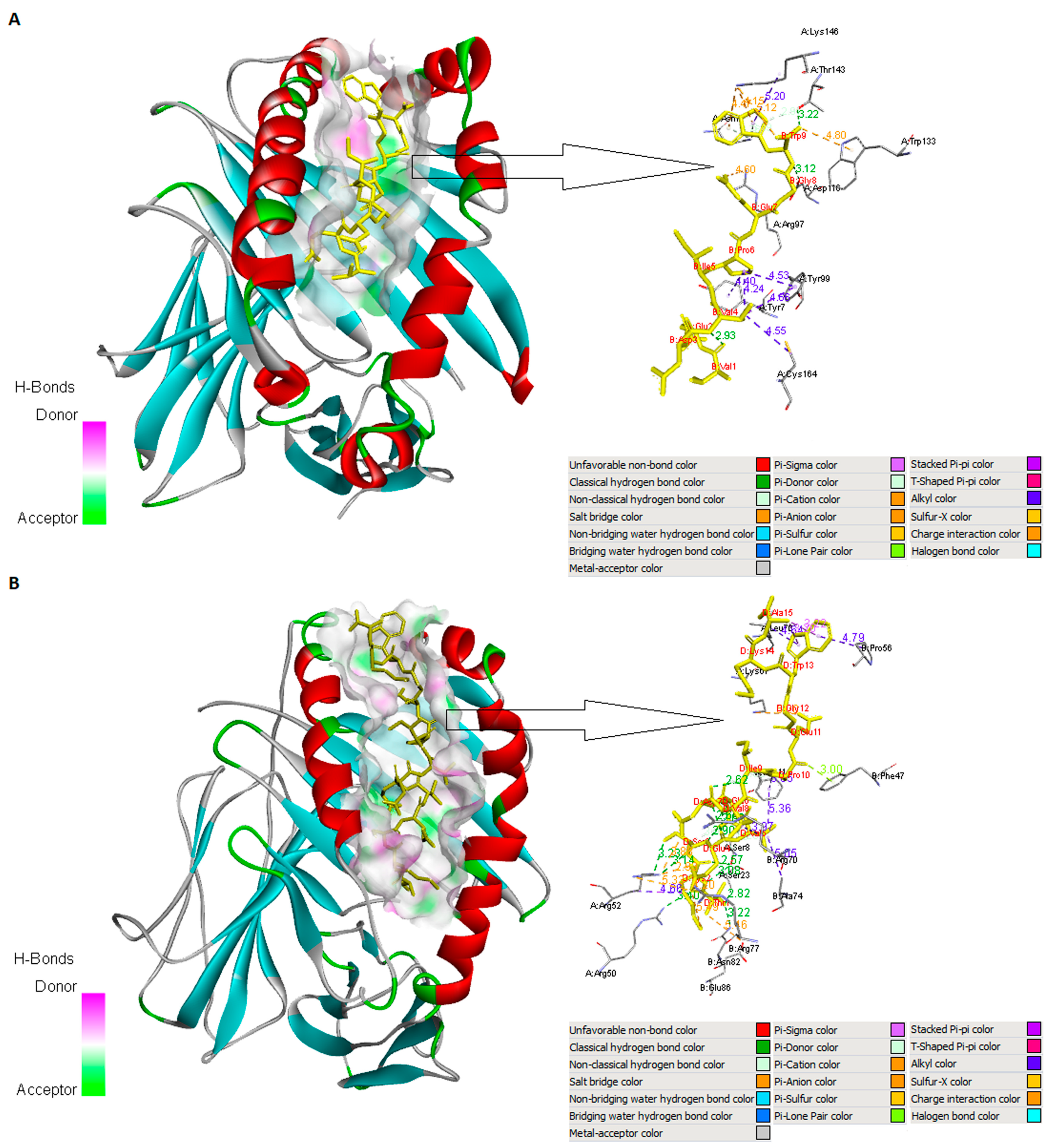 Arm 91 00036 g002 Arm 91 00036 g002