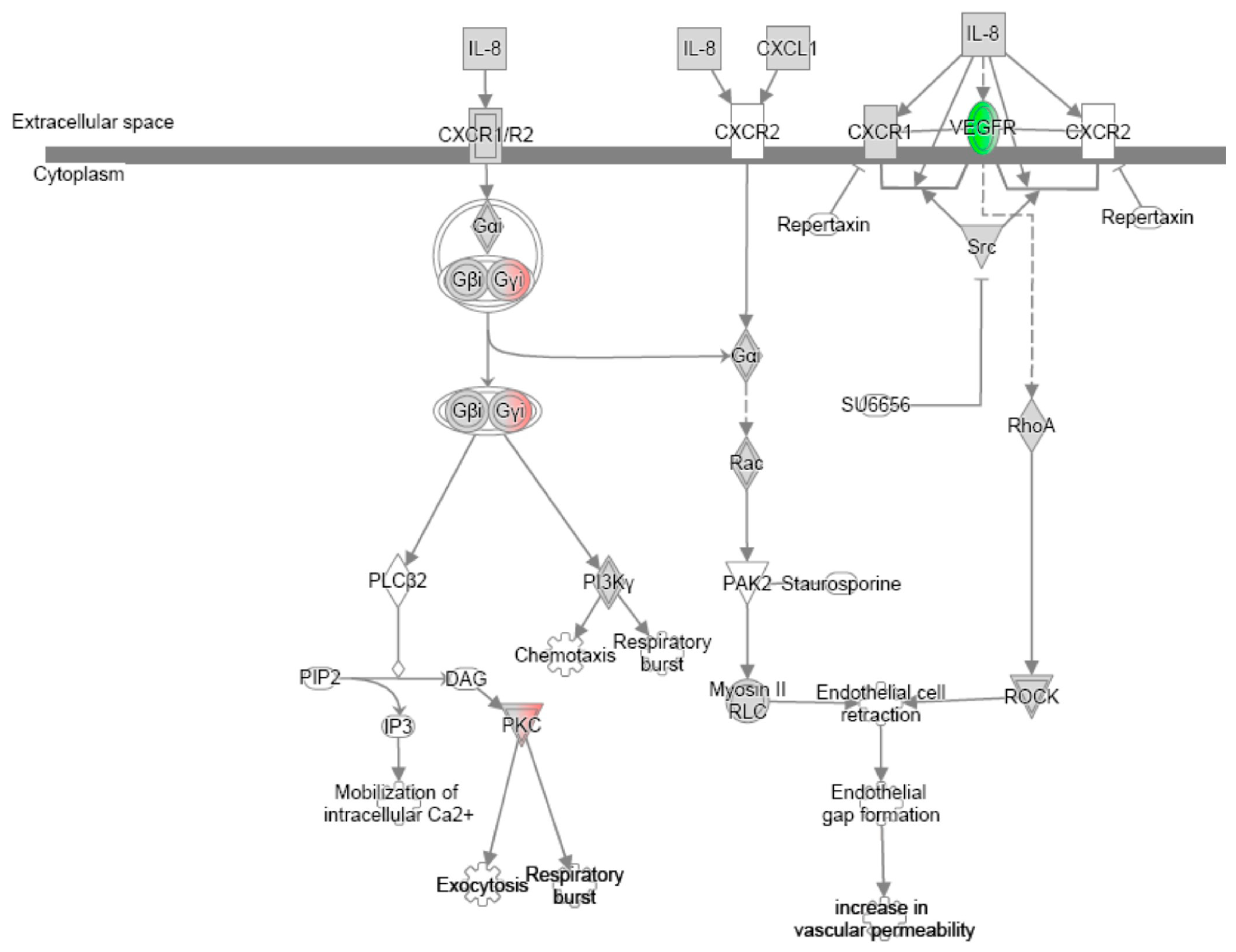 Arm 93 00024 g0a1 Arm 93 00024 g0a1