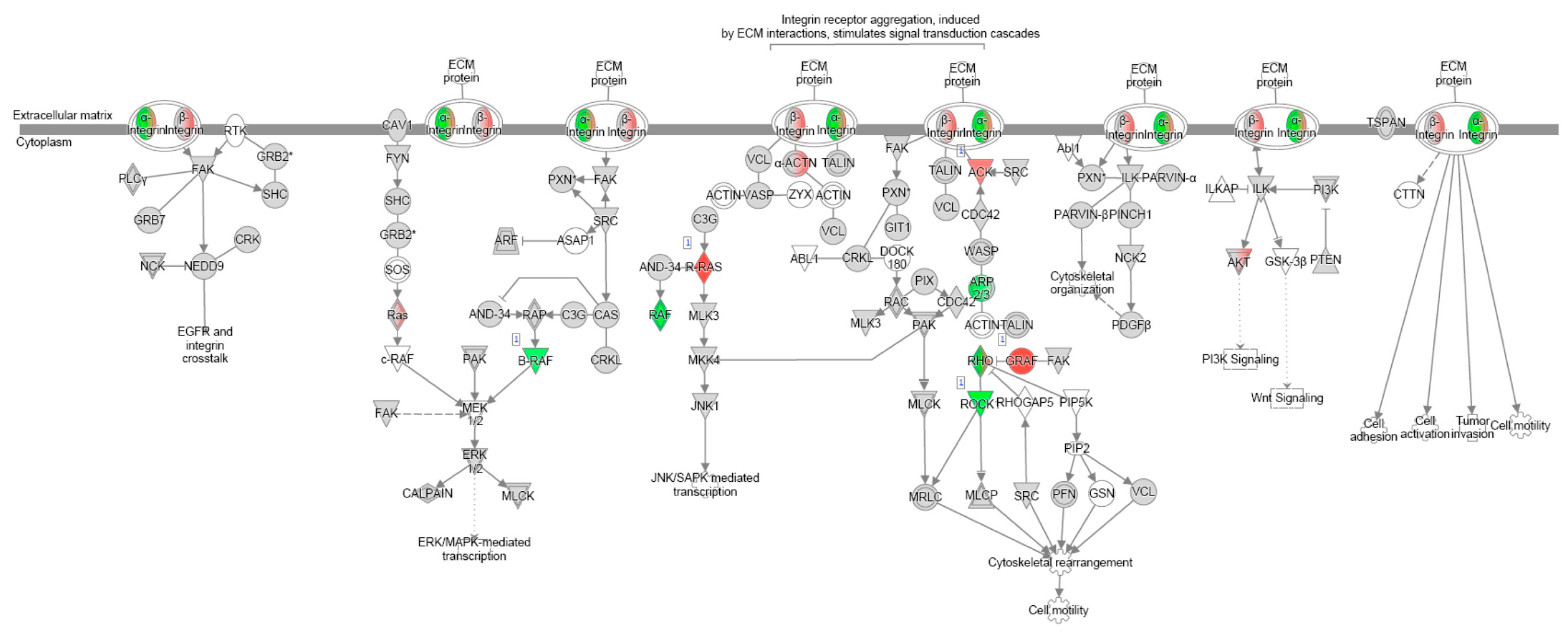 Arm 93 00024 g0a2 Arm 93 00024 g0a2