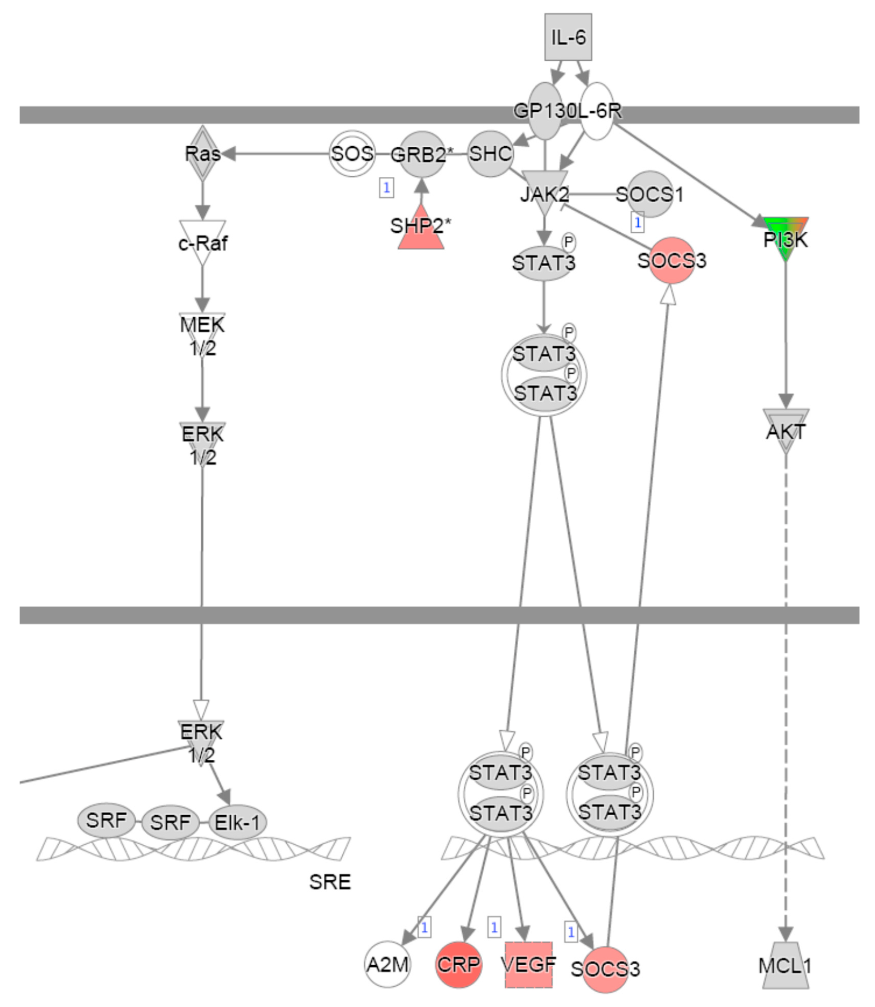 Arm 93 00024 g0a3 Arm 93 00024 g0a3