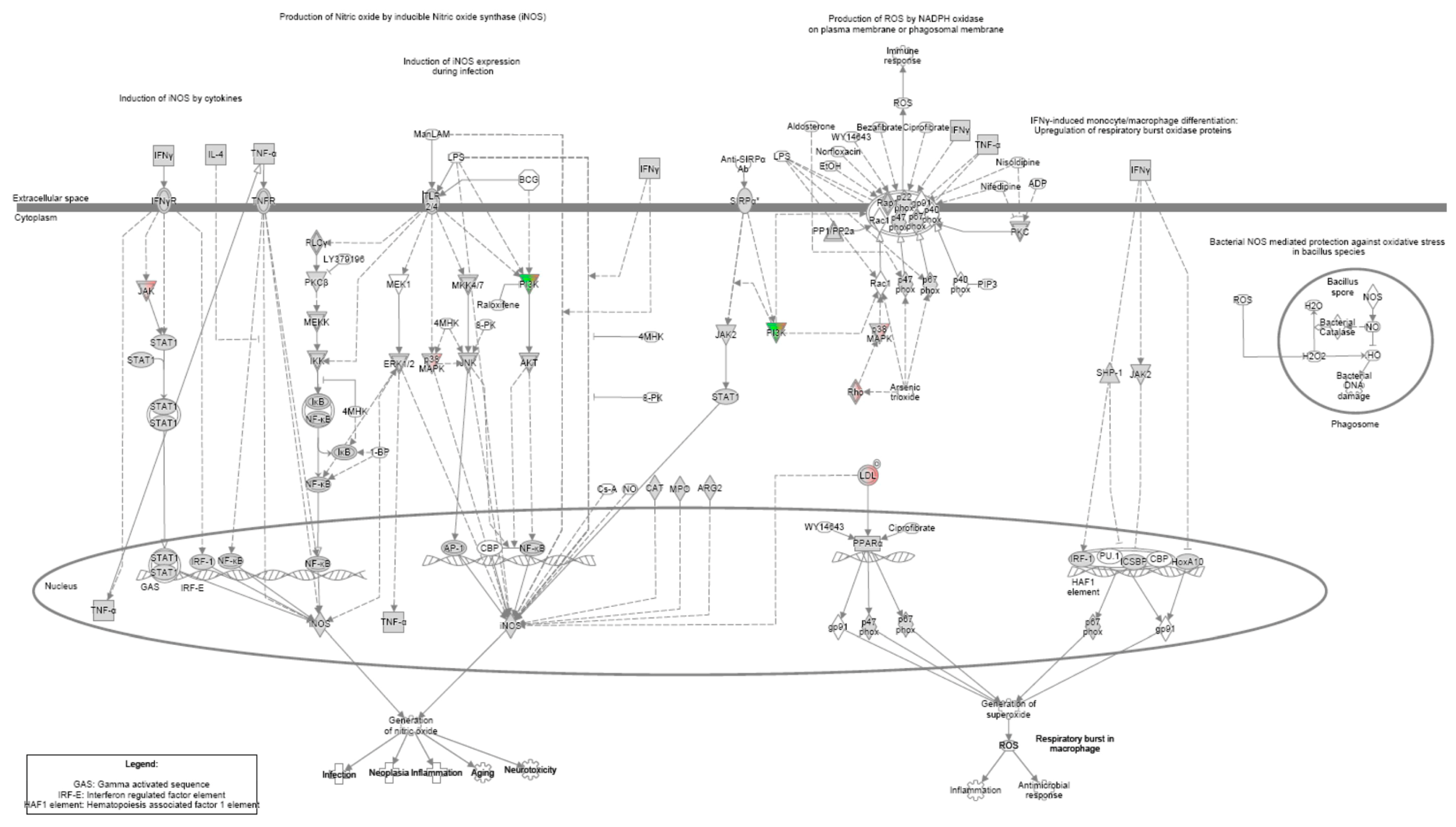 Arm 93 00024 g0a4 Arm 93 00024 g0a4