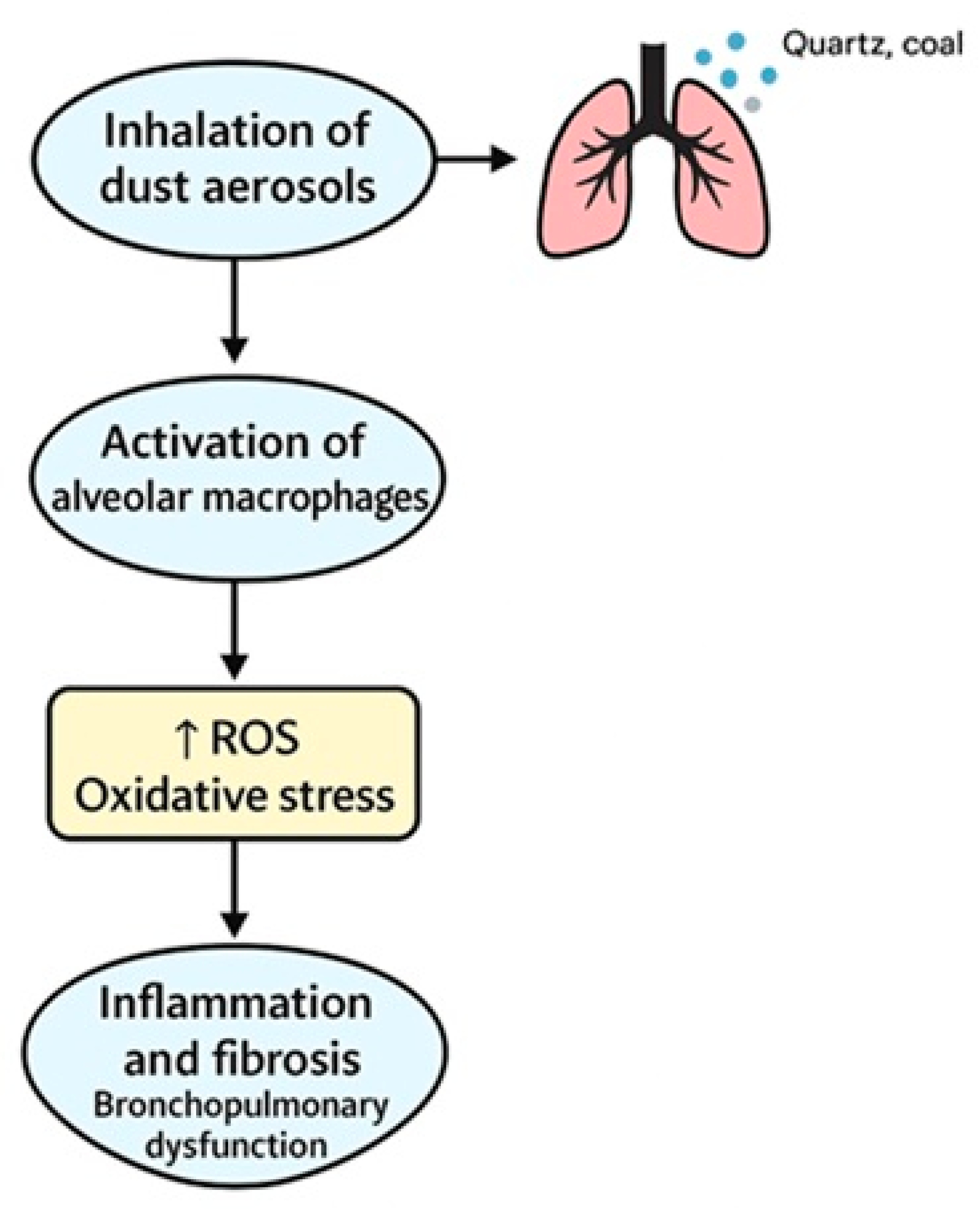 Arm 93 00030 g002 Arm 93 00030 g002
