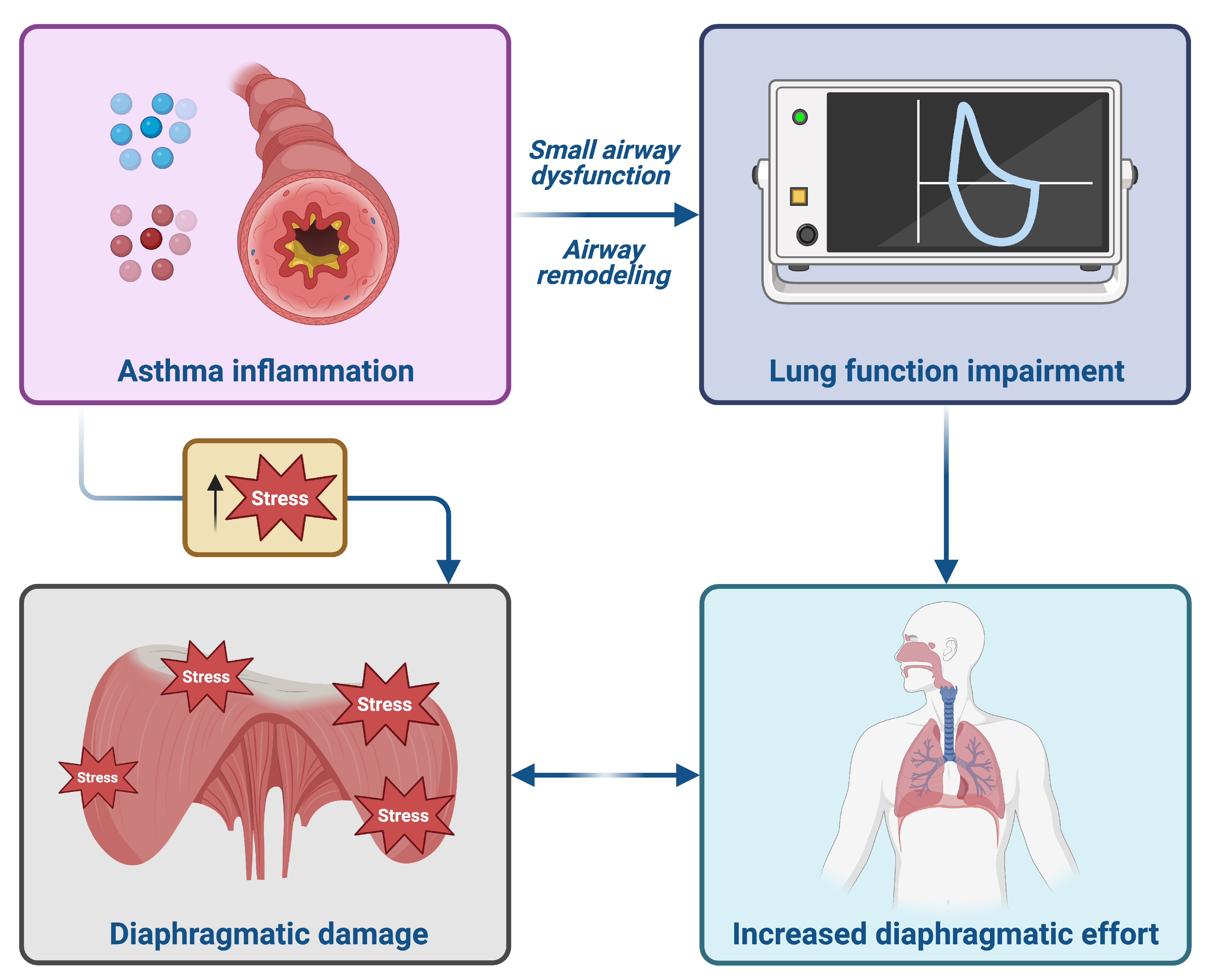 Arm 93 00040 g005 Arm 93 00040 g005