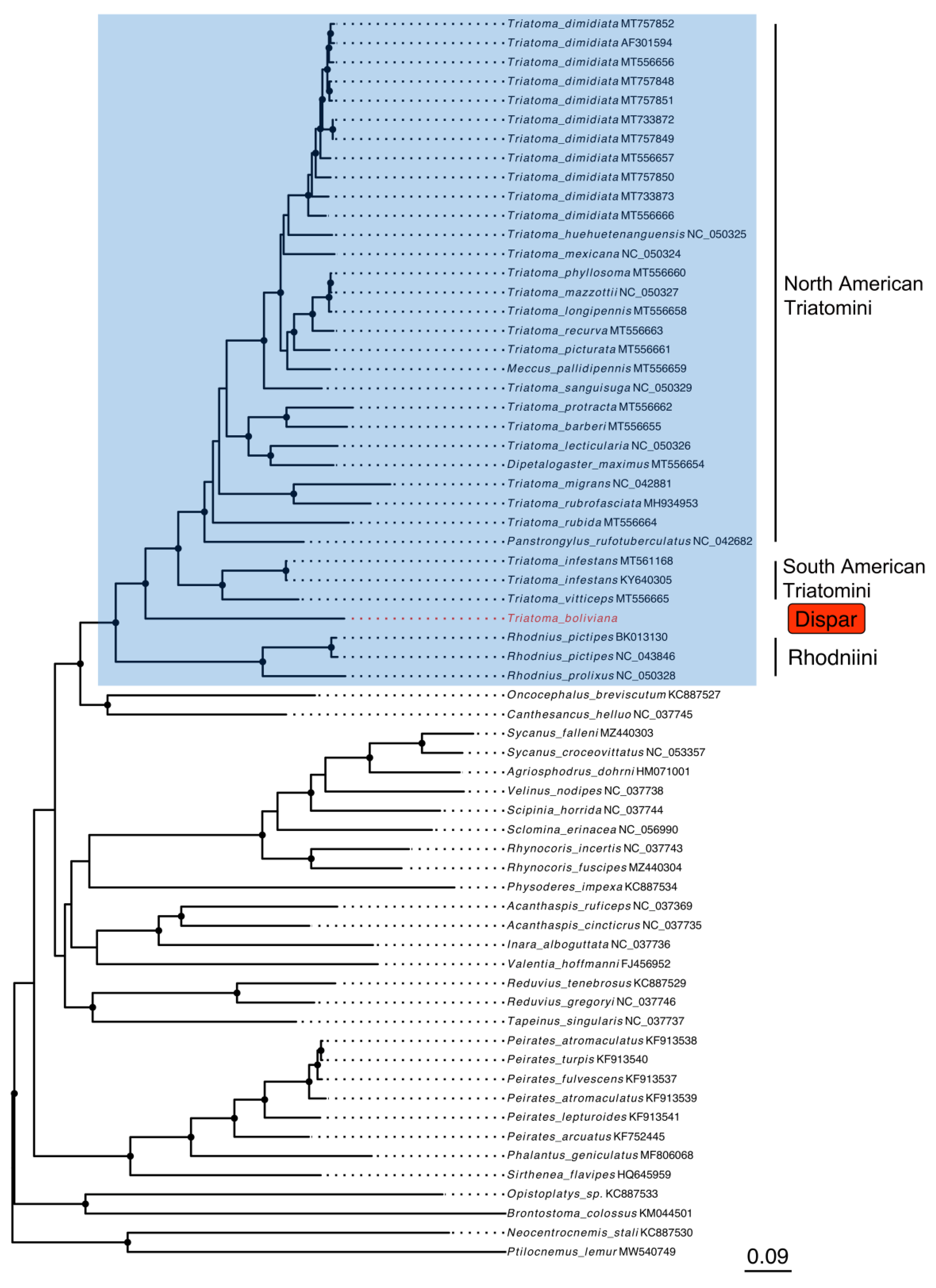 Arthropoda 01 00002 g002