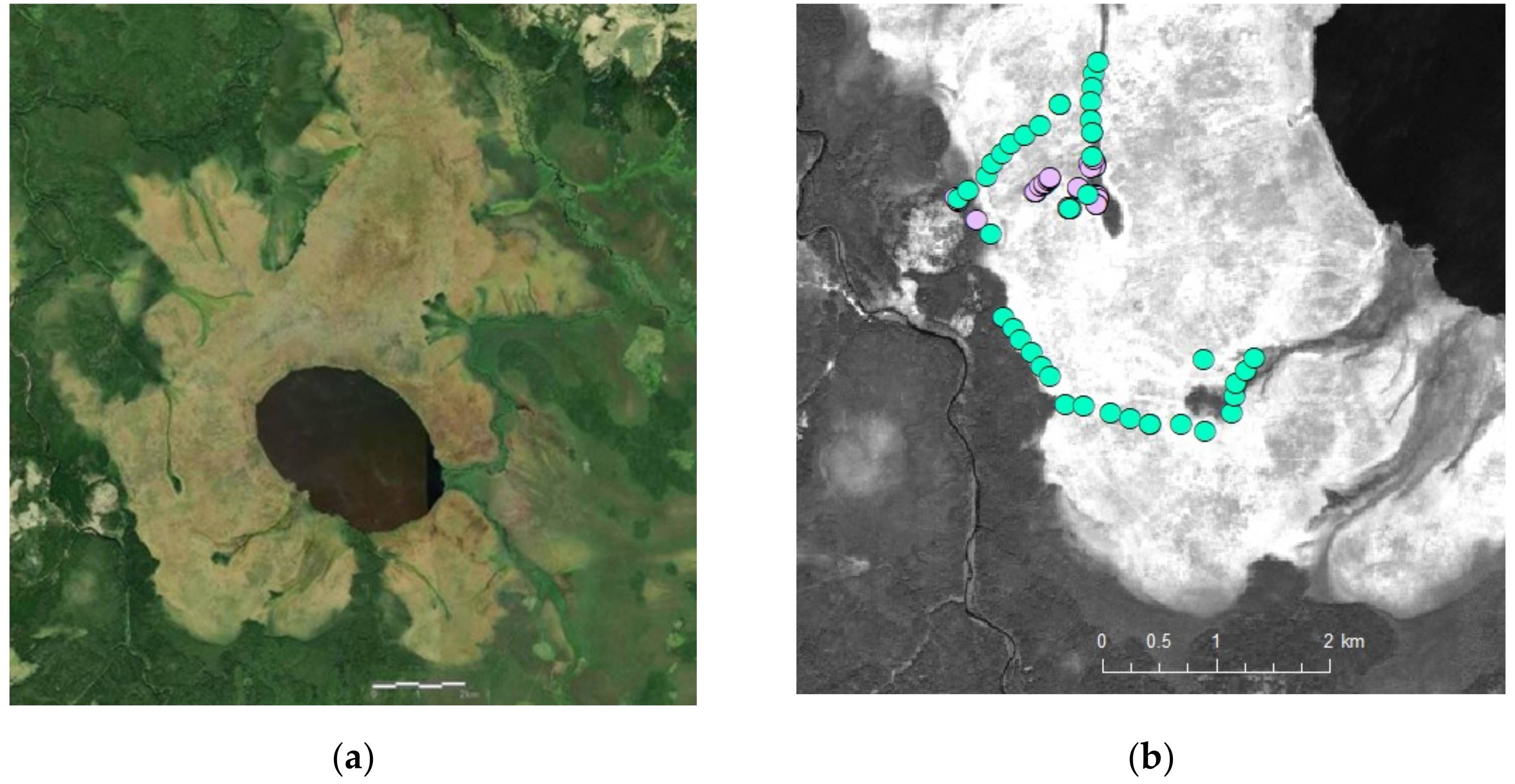 Arthropoda 01 00006 g001